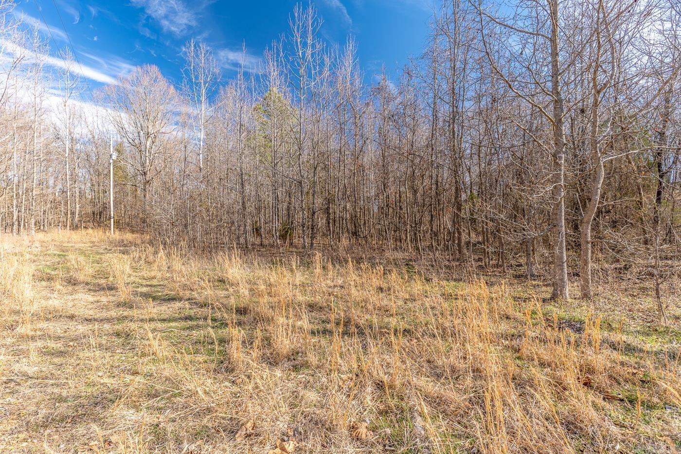 3.03 Acres County Road 389  Bono, AR