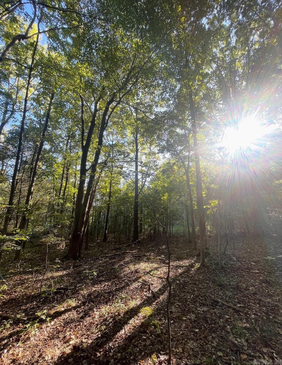 3.03 Acres County Road 389  Bono, AR