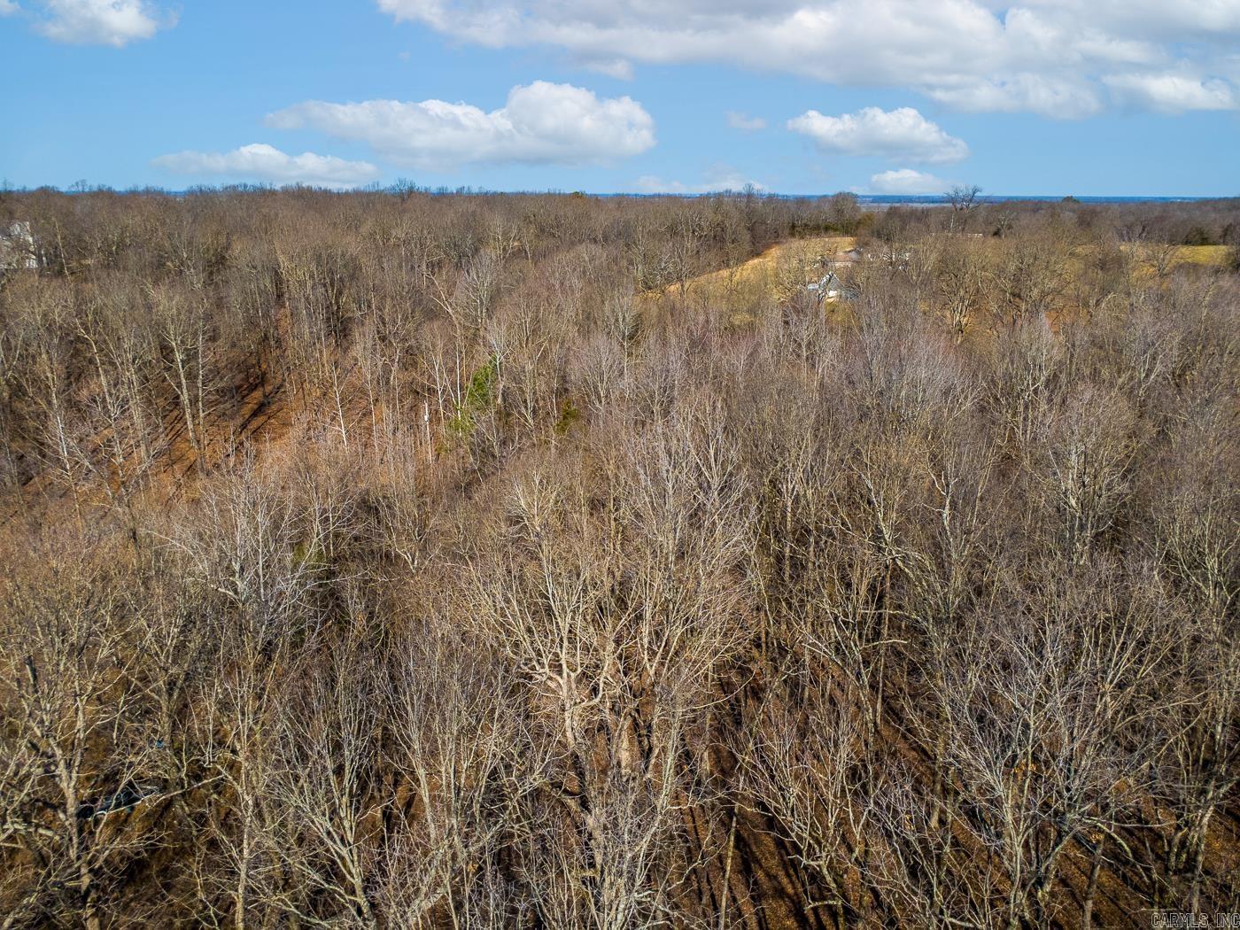 3.03 Acres County Road 389  Bono, AR