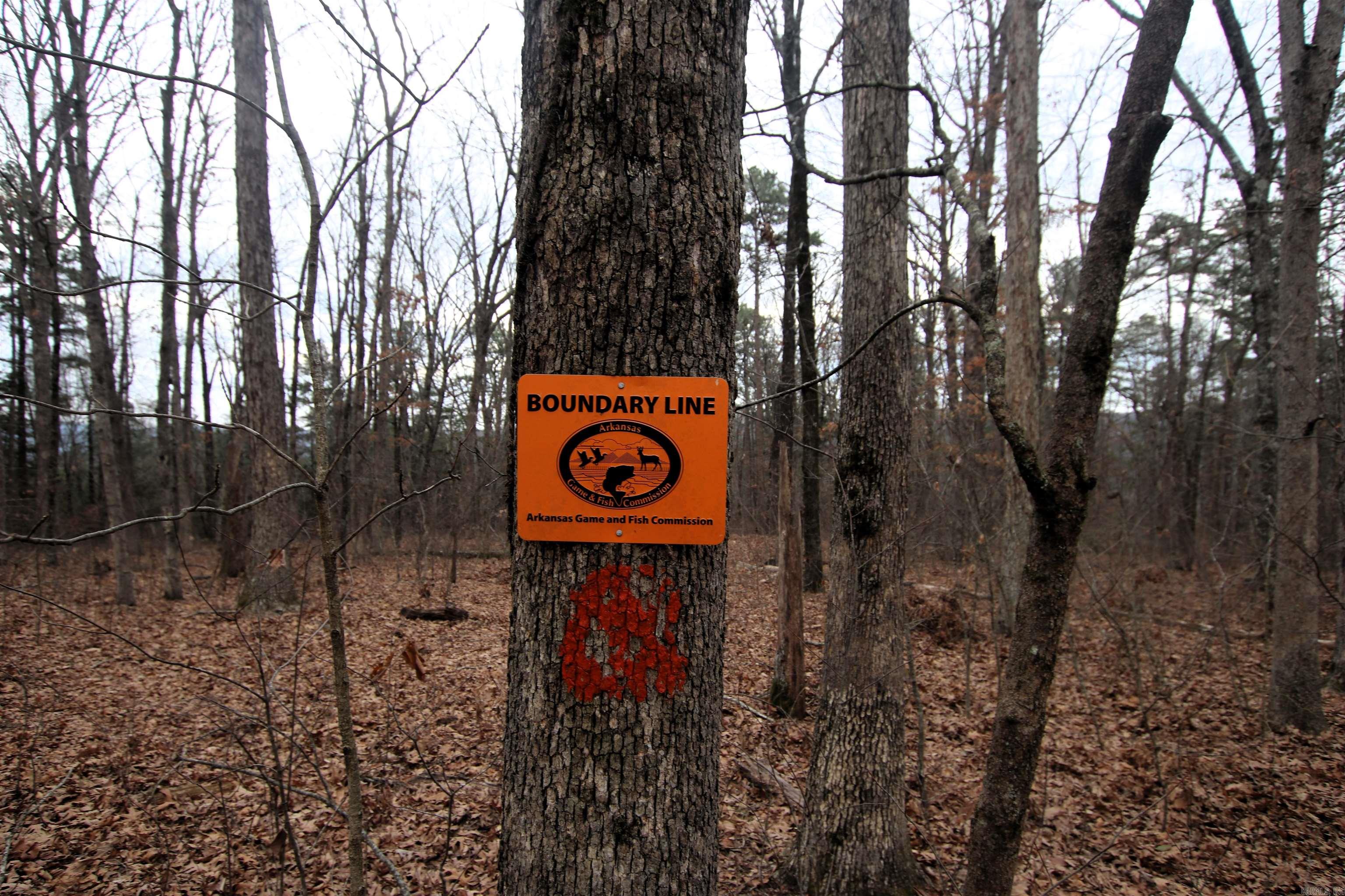 000 Jack Vaughn  Clinton, AR