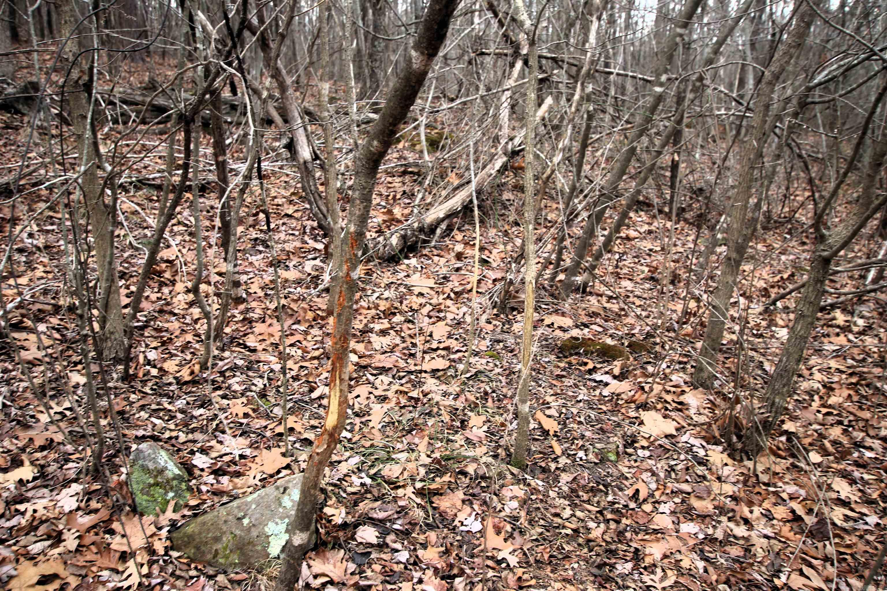 000 Jack Vaughn  Clinton, AR