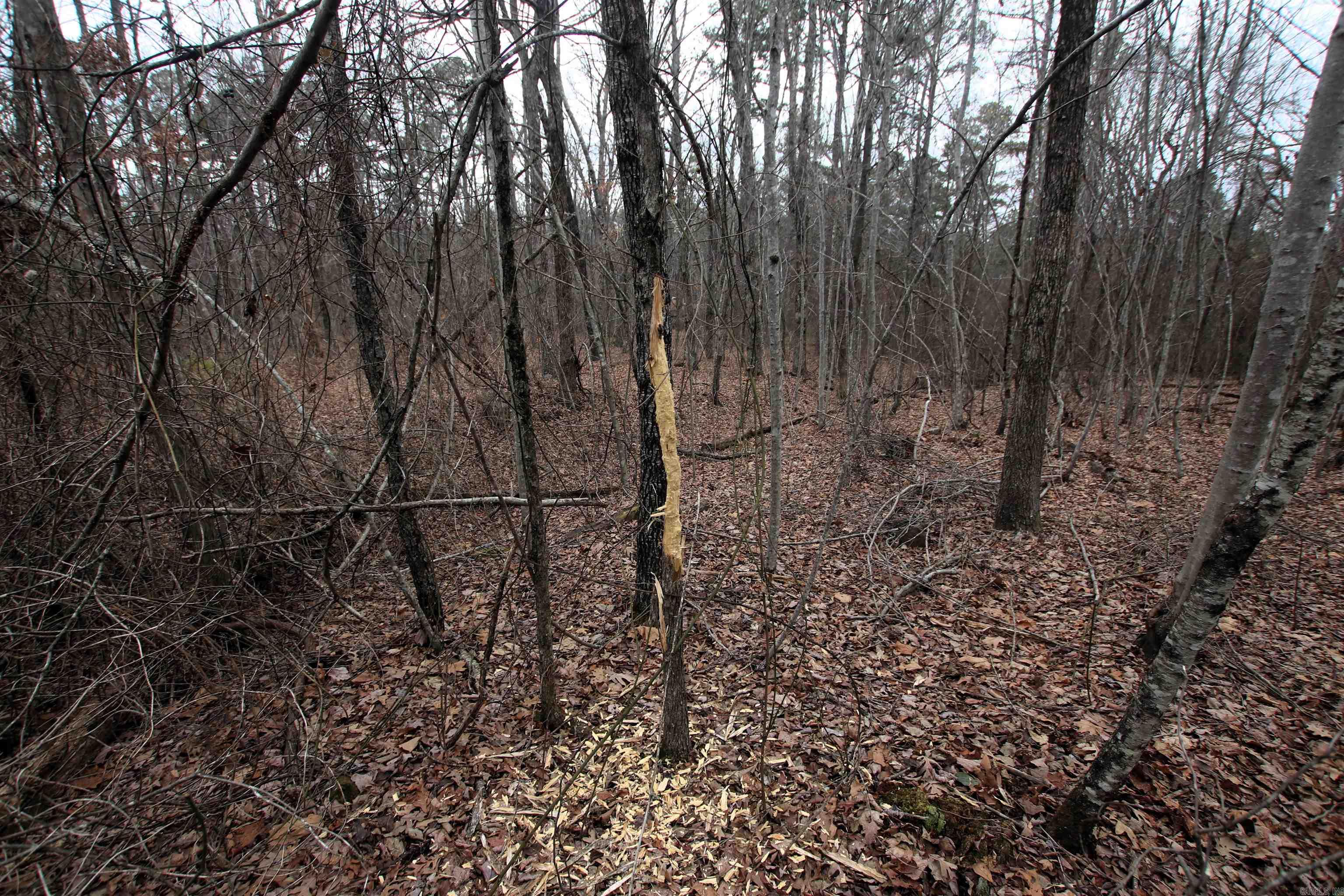 000 Jack Vaughn  Clinton, AR