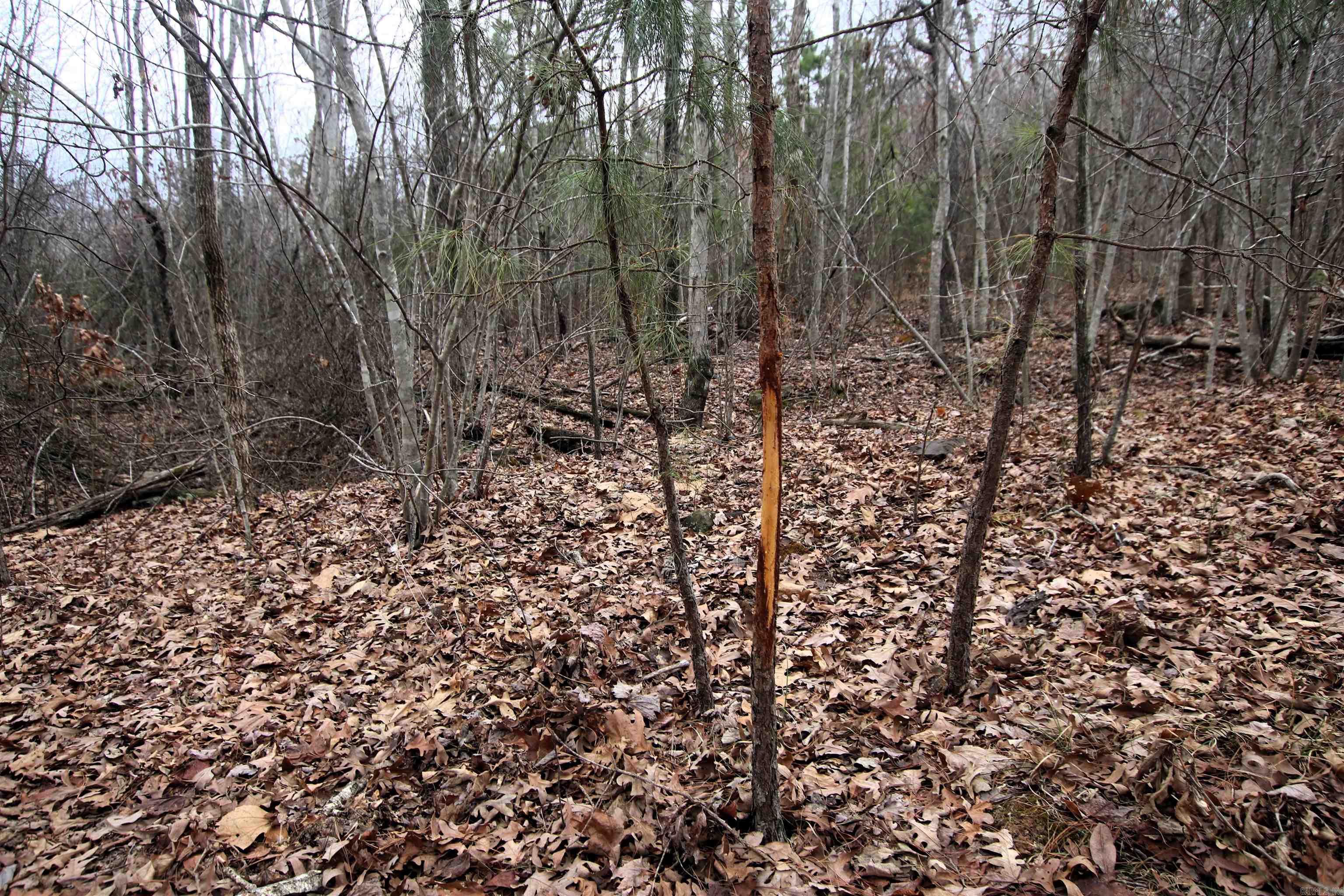 000 Jack Vaughn  Clinton, AR