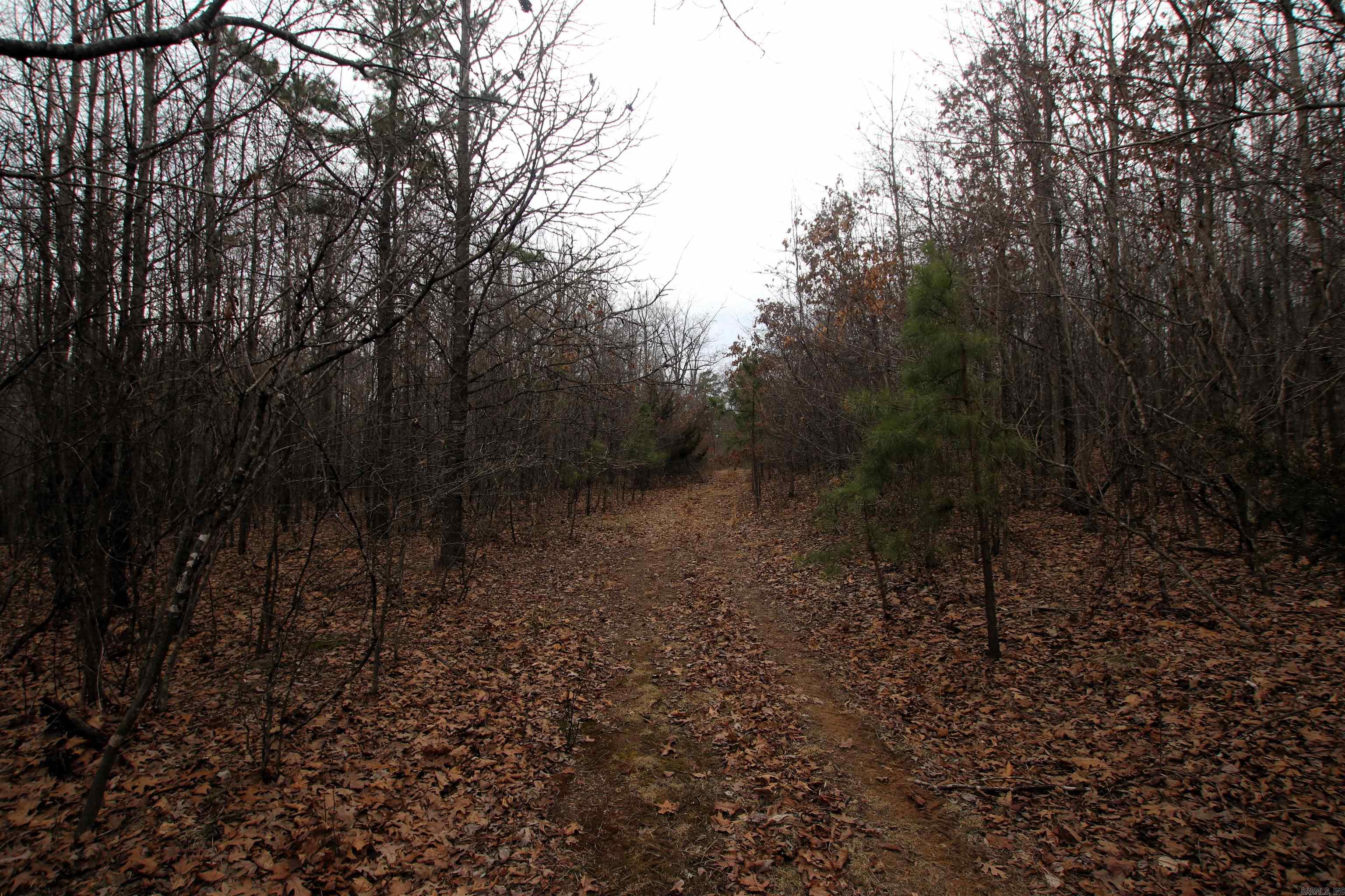 000 Jack Vaughn  Clinton, AR