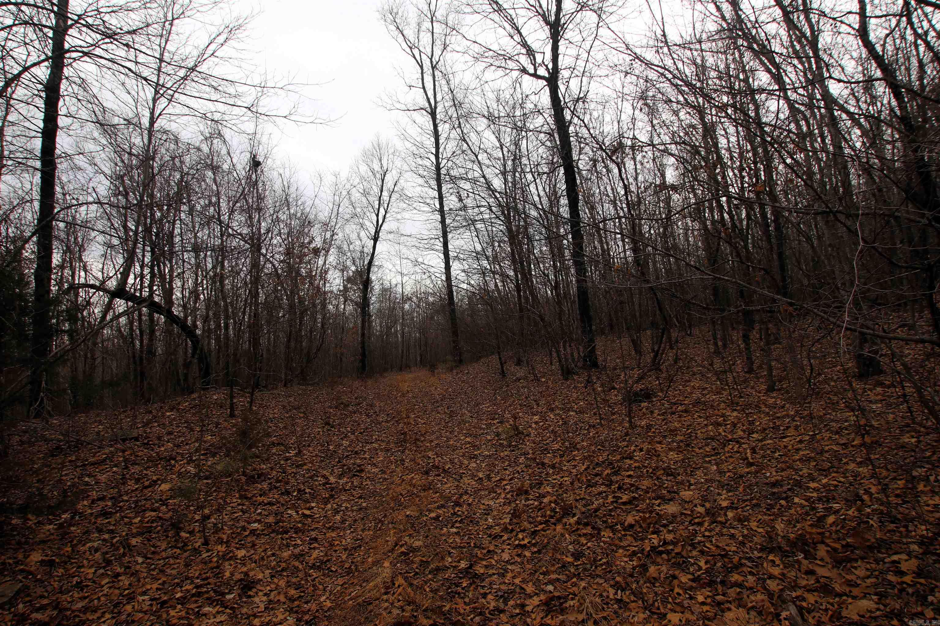 000 Jack Vaughn  Clinton, AR