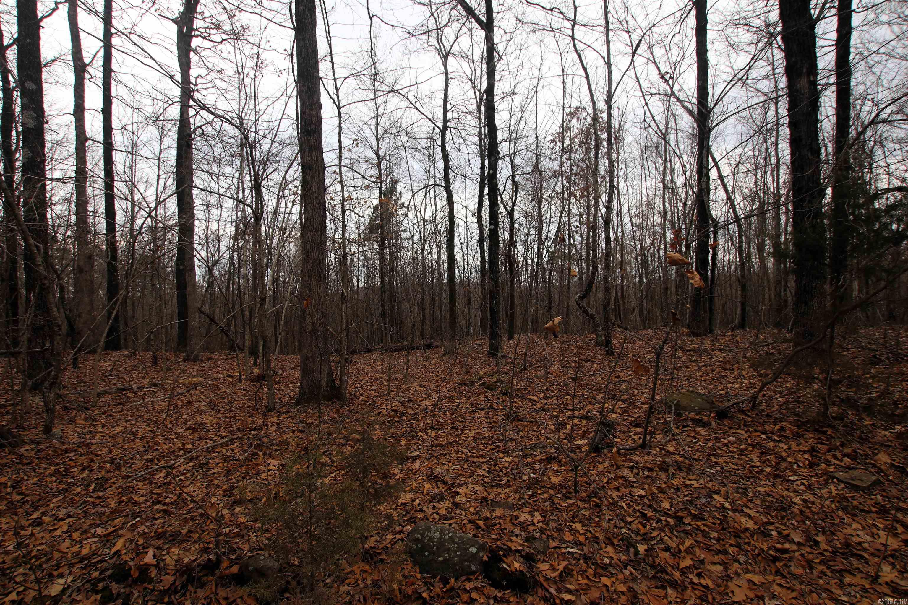 000 Jack Vaughn  Clinton, AR