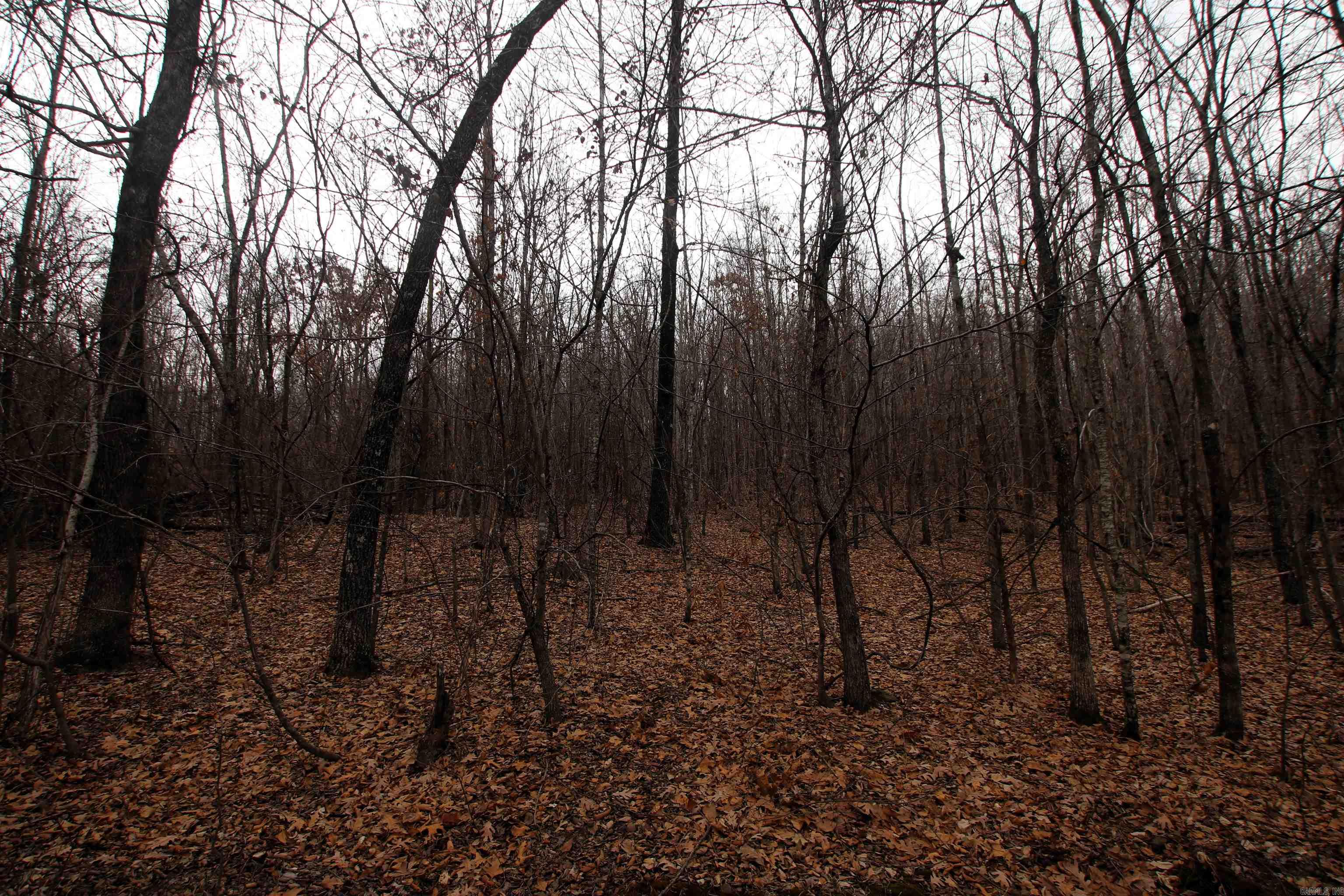 000 Jack Vaughn  Clinton, AR