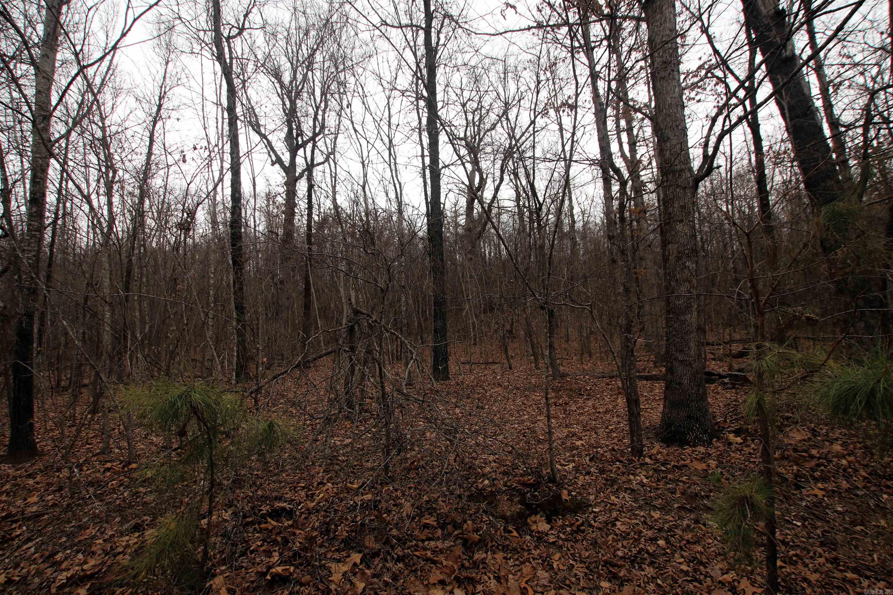 000 Jack Vaughn  Clinton, AR