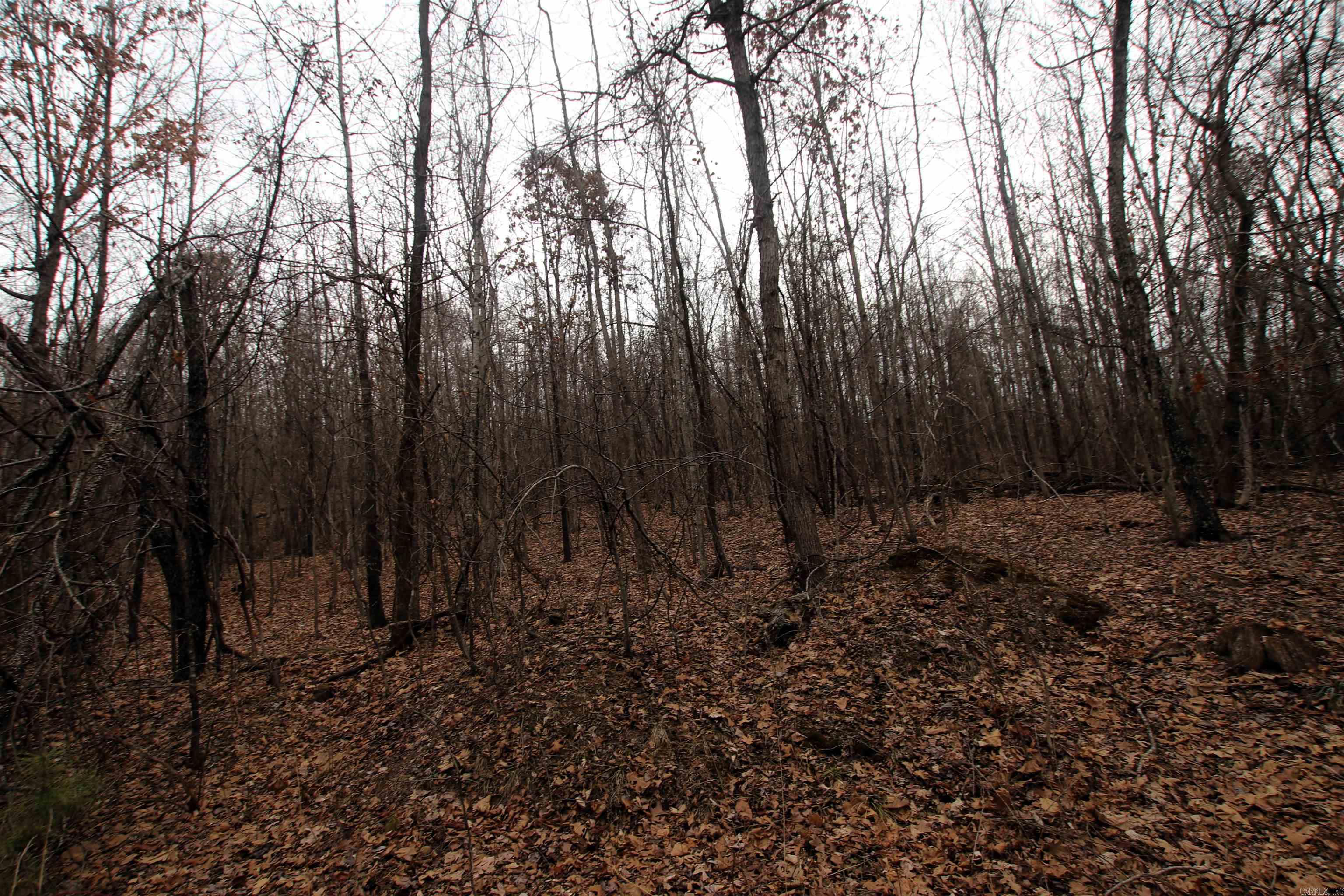 000 Jack Vaughn  Clinton, AR