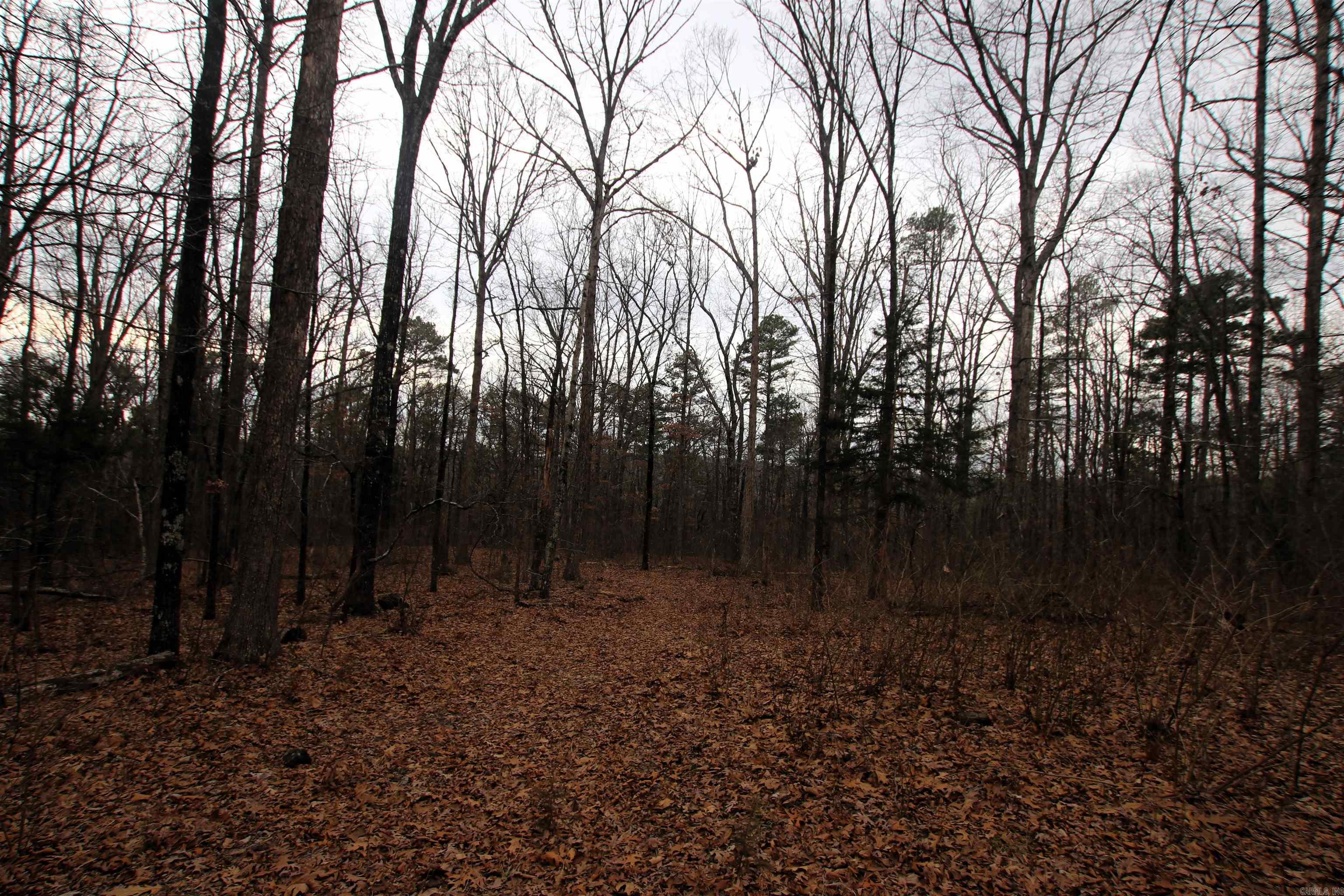 000 Jack Vaughn  Clinton, AR