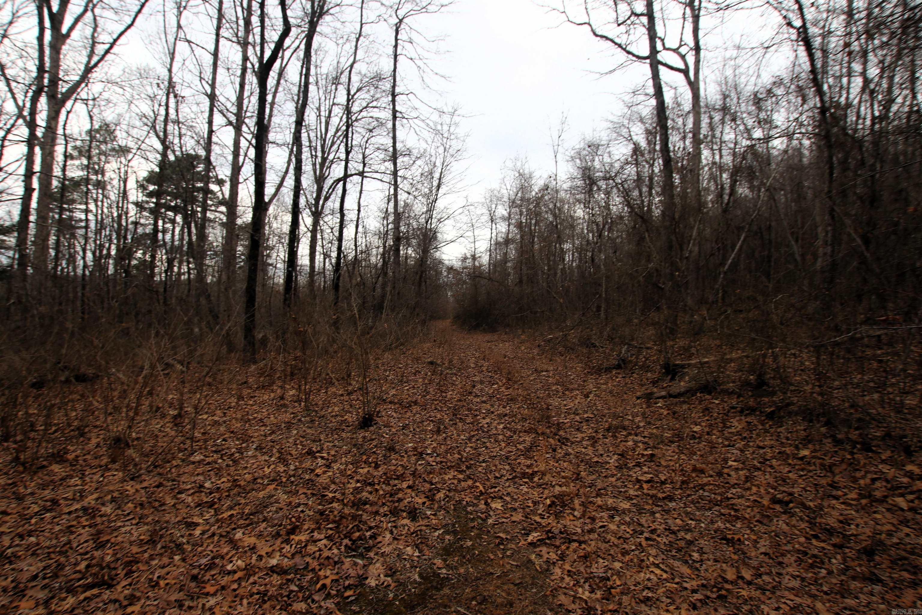 000 Jack Vaughn  Clinton, AR