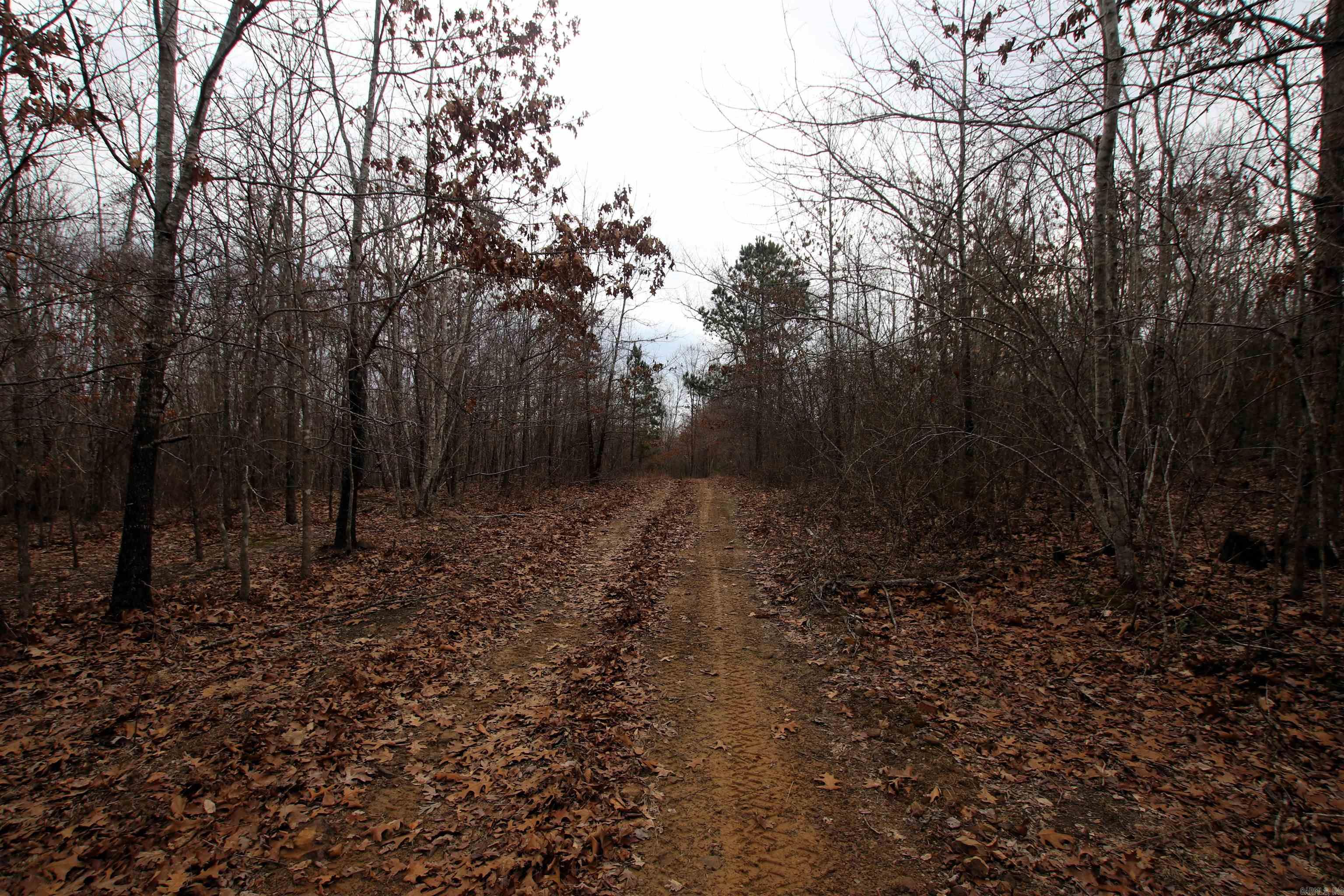 000 Jack Vaughn  Clinton, AR