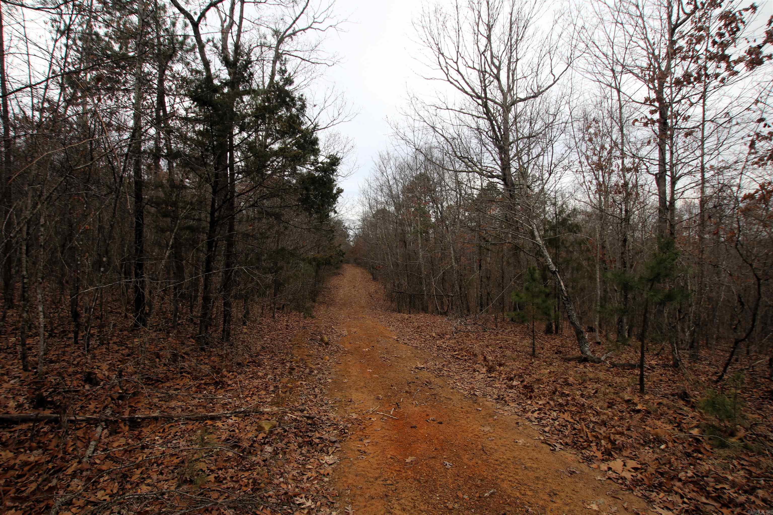 000 Jack Vaughn  Clinton, AR