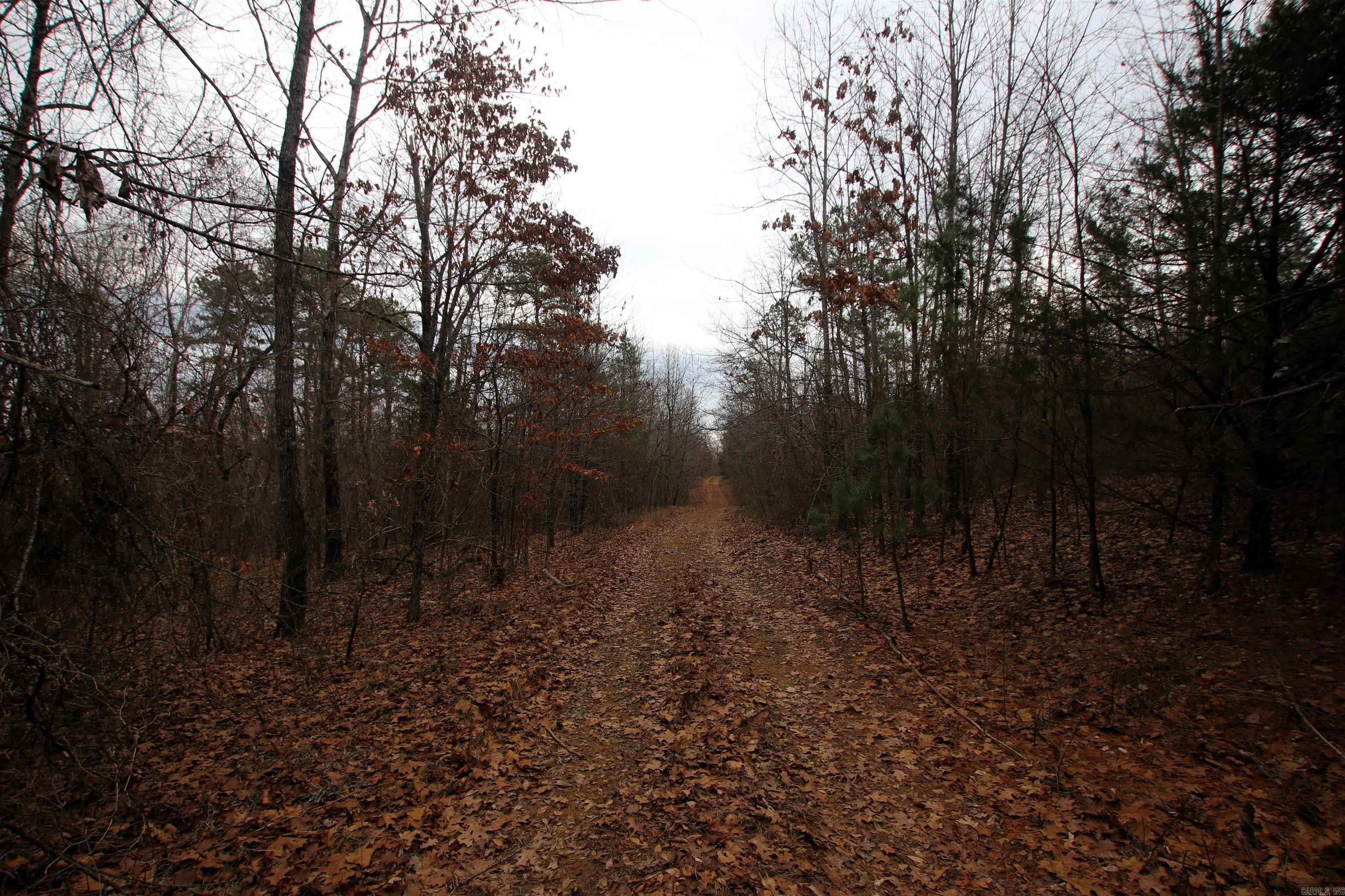 000 Jack Vaughn  Clinton, AR