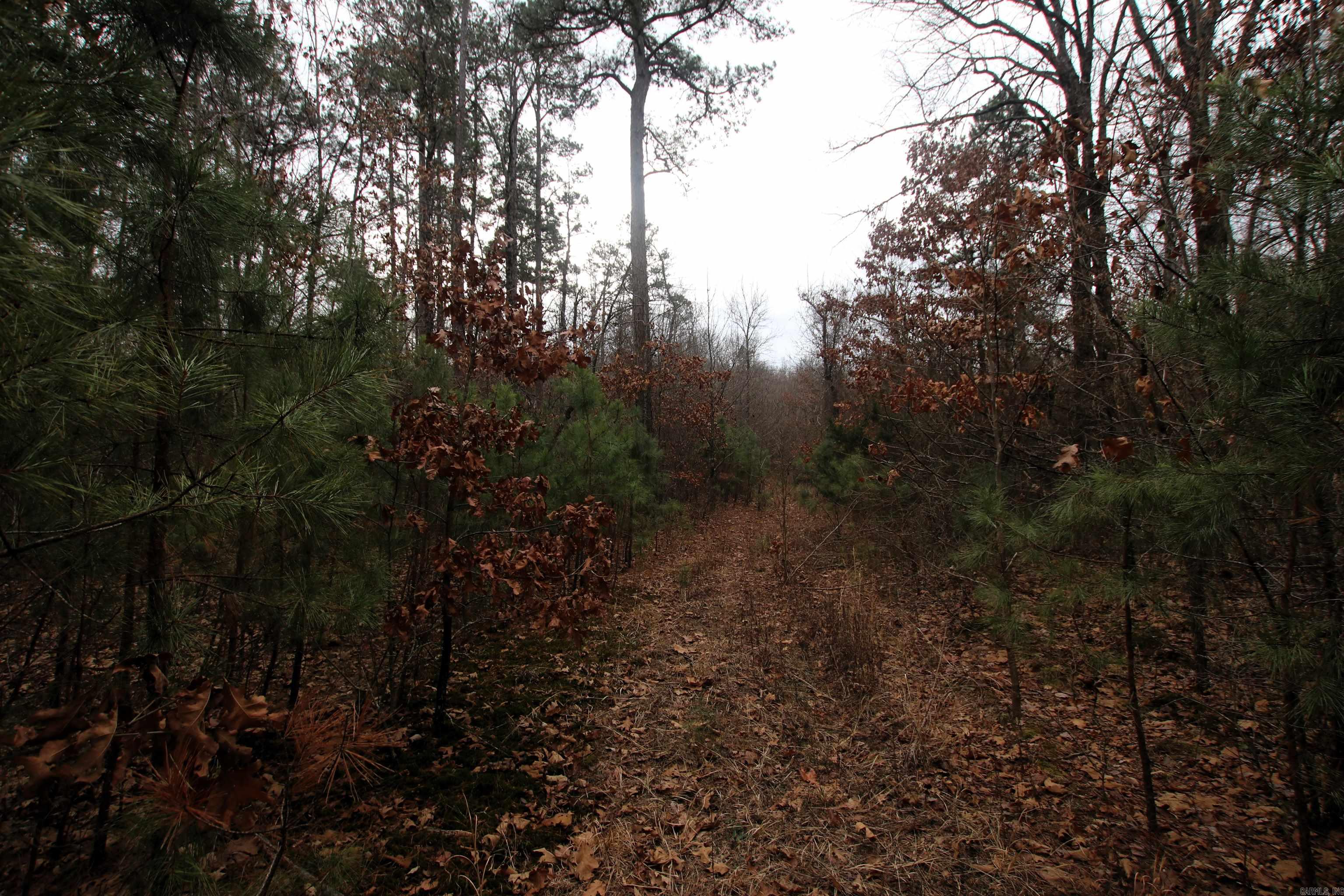 000 Jack Vaughn  Clinton, AR