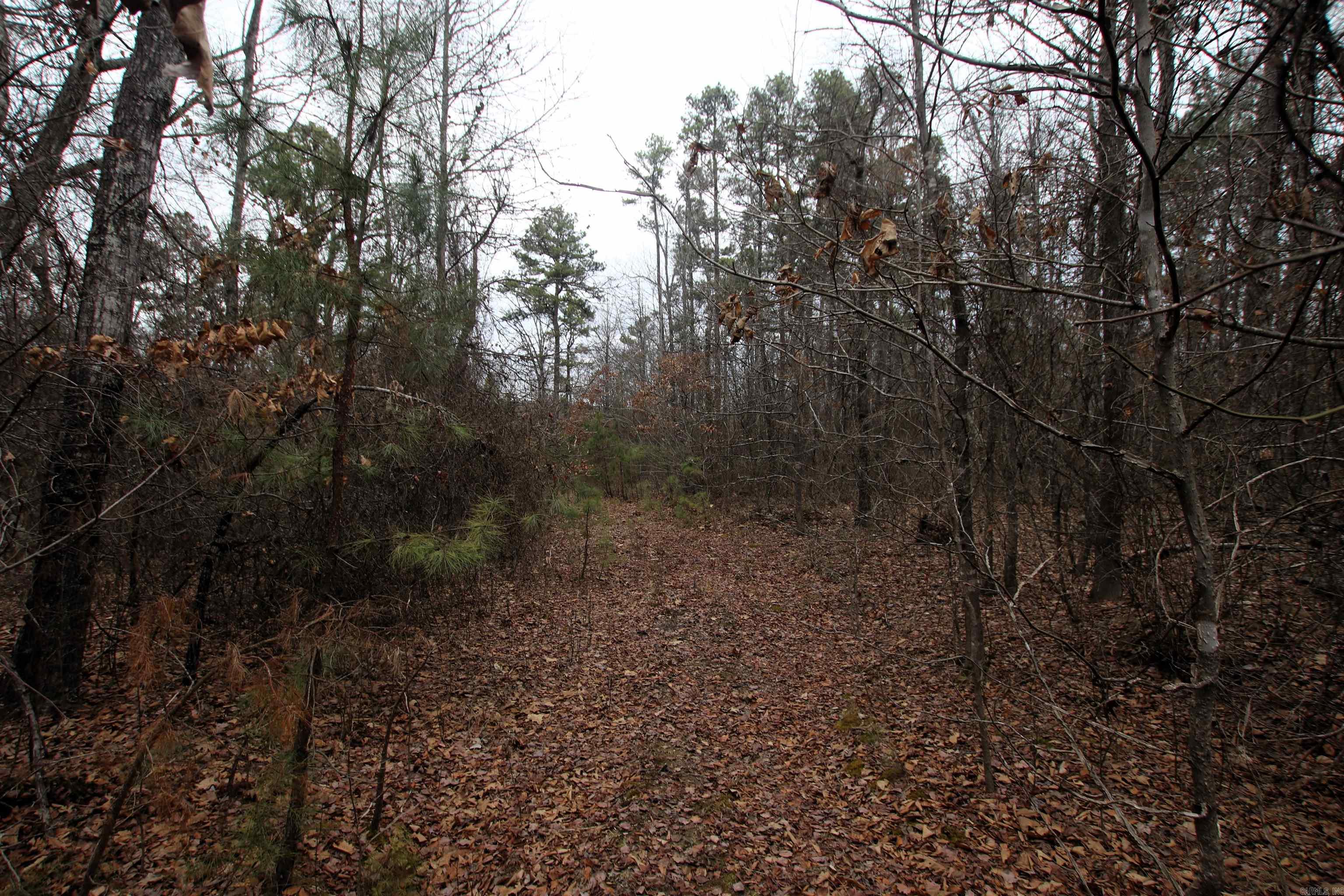 000 Jack Vaughn  Clinton, AR