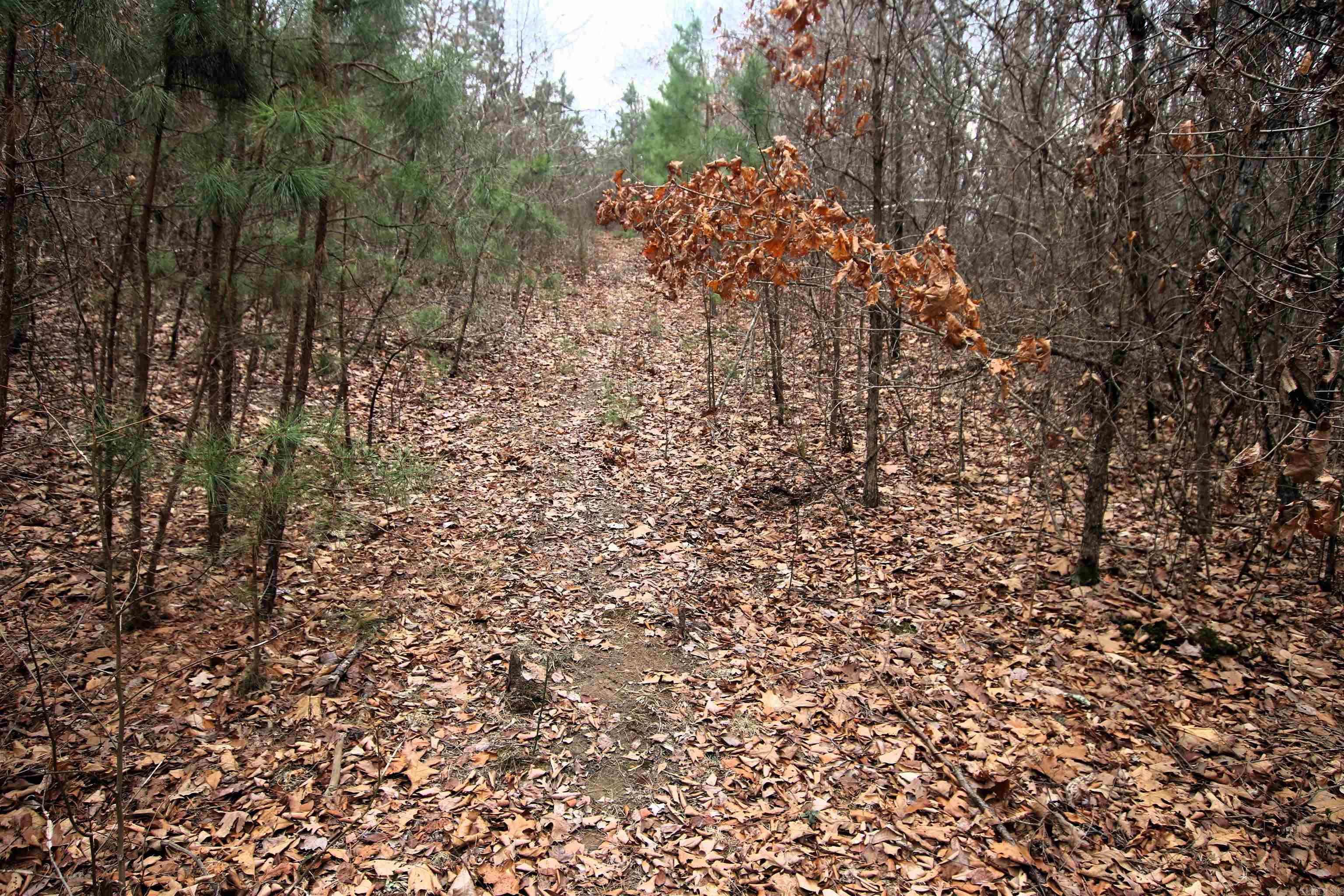 000 Jack Vaughn  Clinton, AR