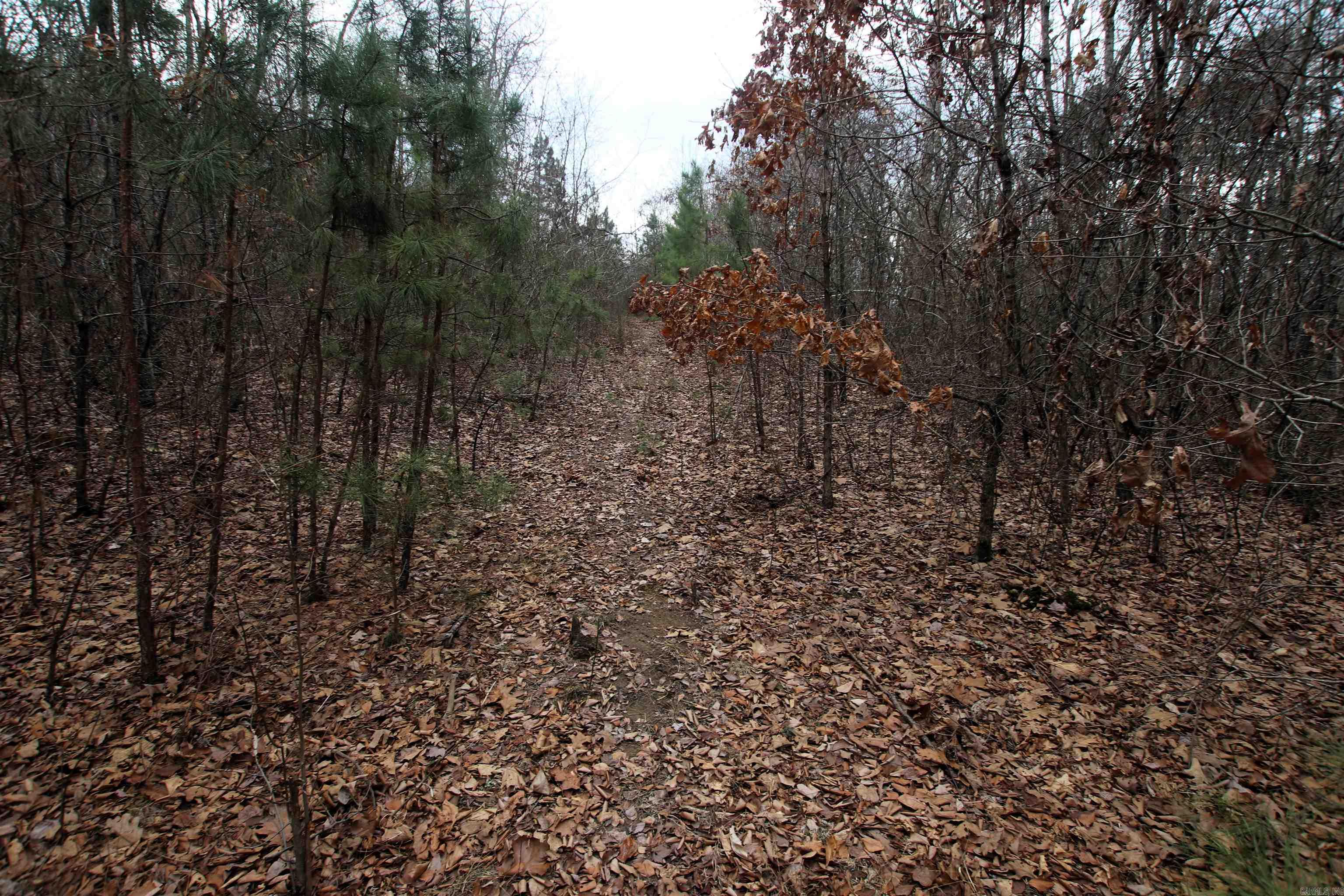 000 Jack Vaughn  Clinton, AR