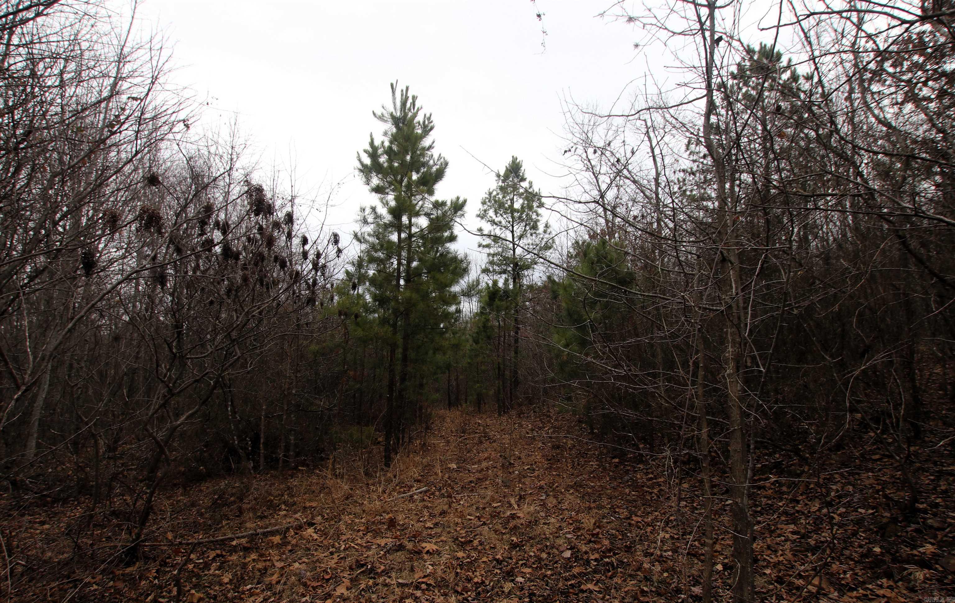 000 Jack Vaughn  Clinton, AR