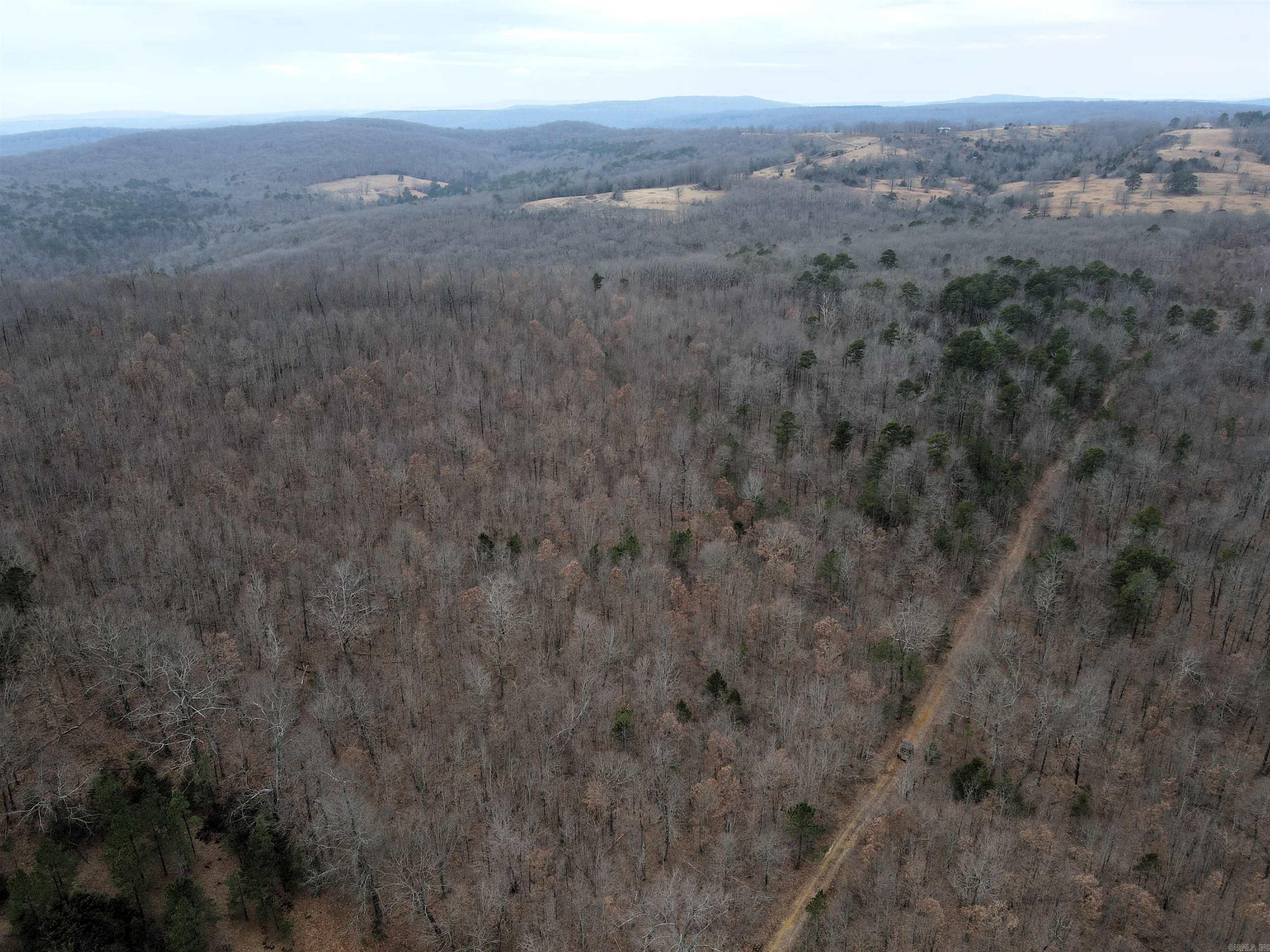 000 Jack Vaughn  Clinton, AR