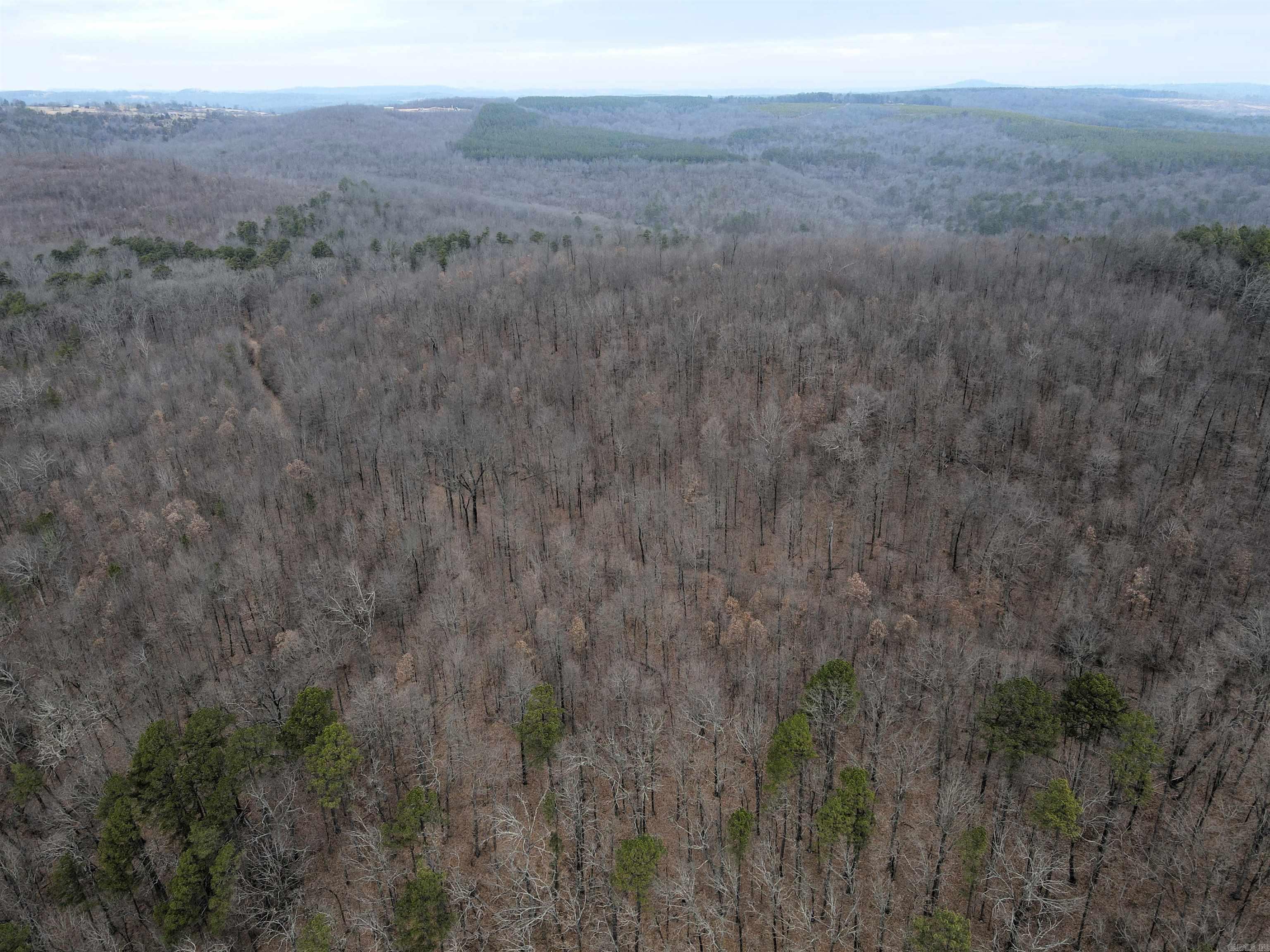 000 Jack Vaughn  Clinton, AR