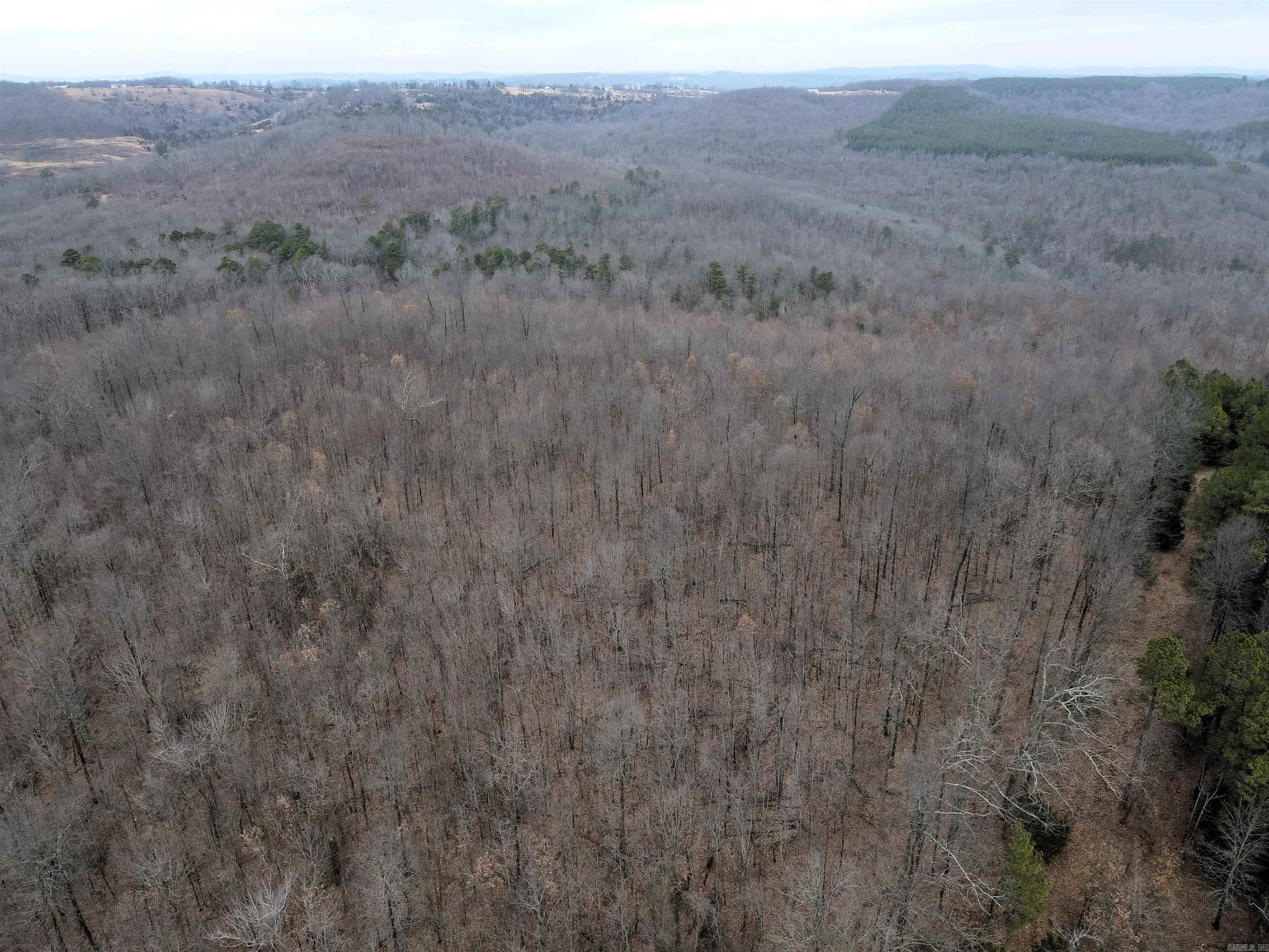 000 Jack Vaughn  Clinton, AR