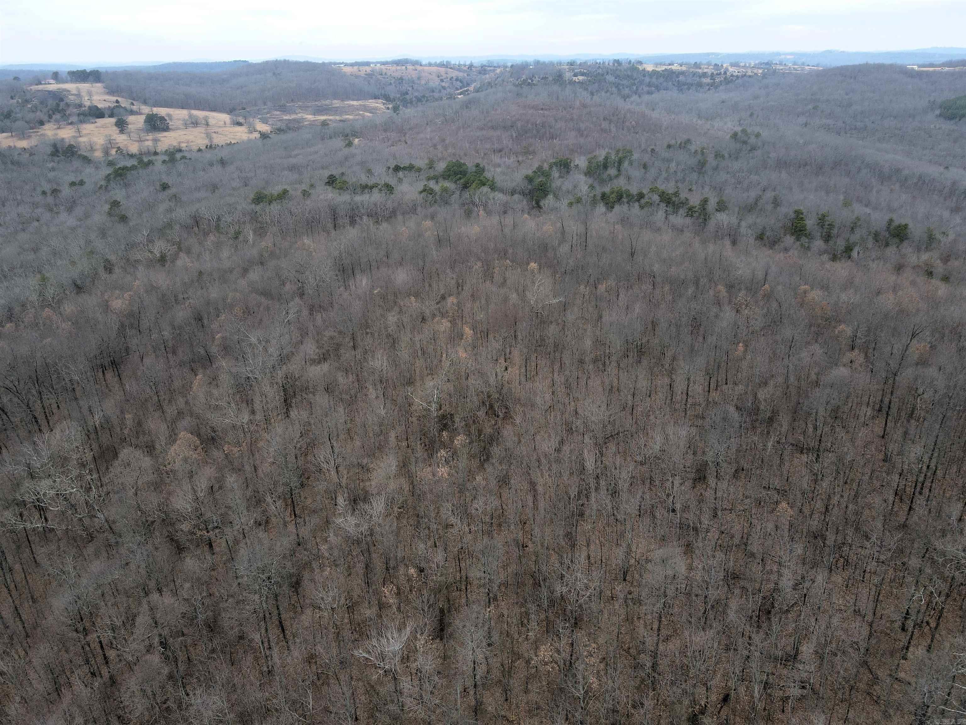 000 Jack Vaughn  Clinton, AR