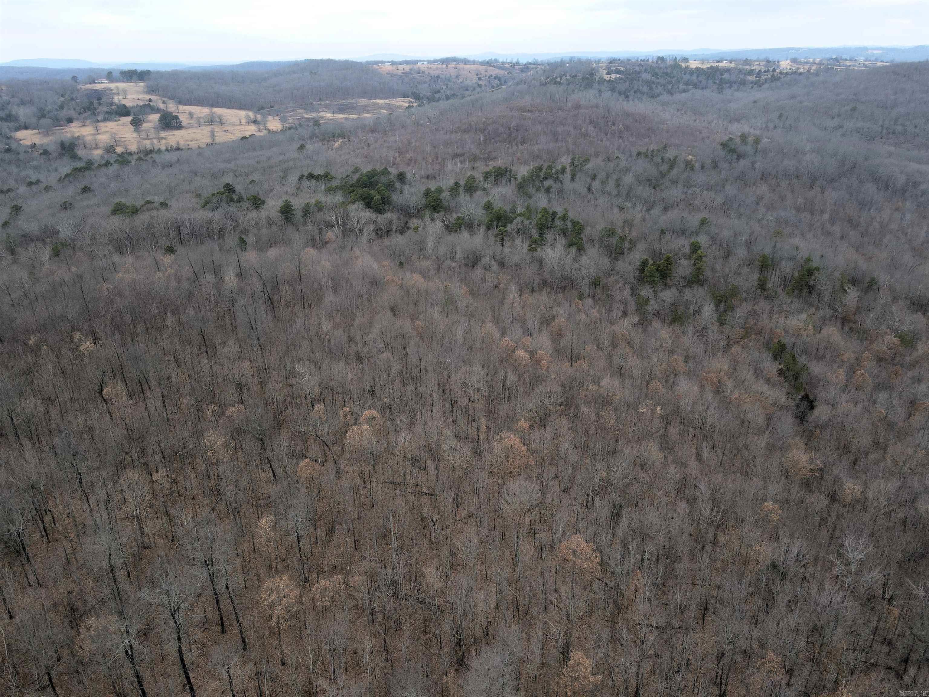 000 Jack Vaughn  Clinton, AR