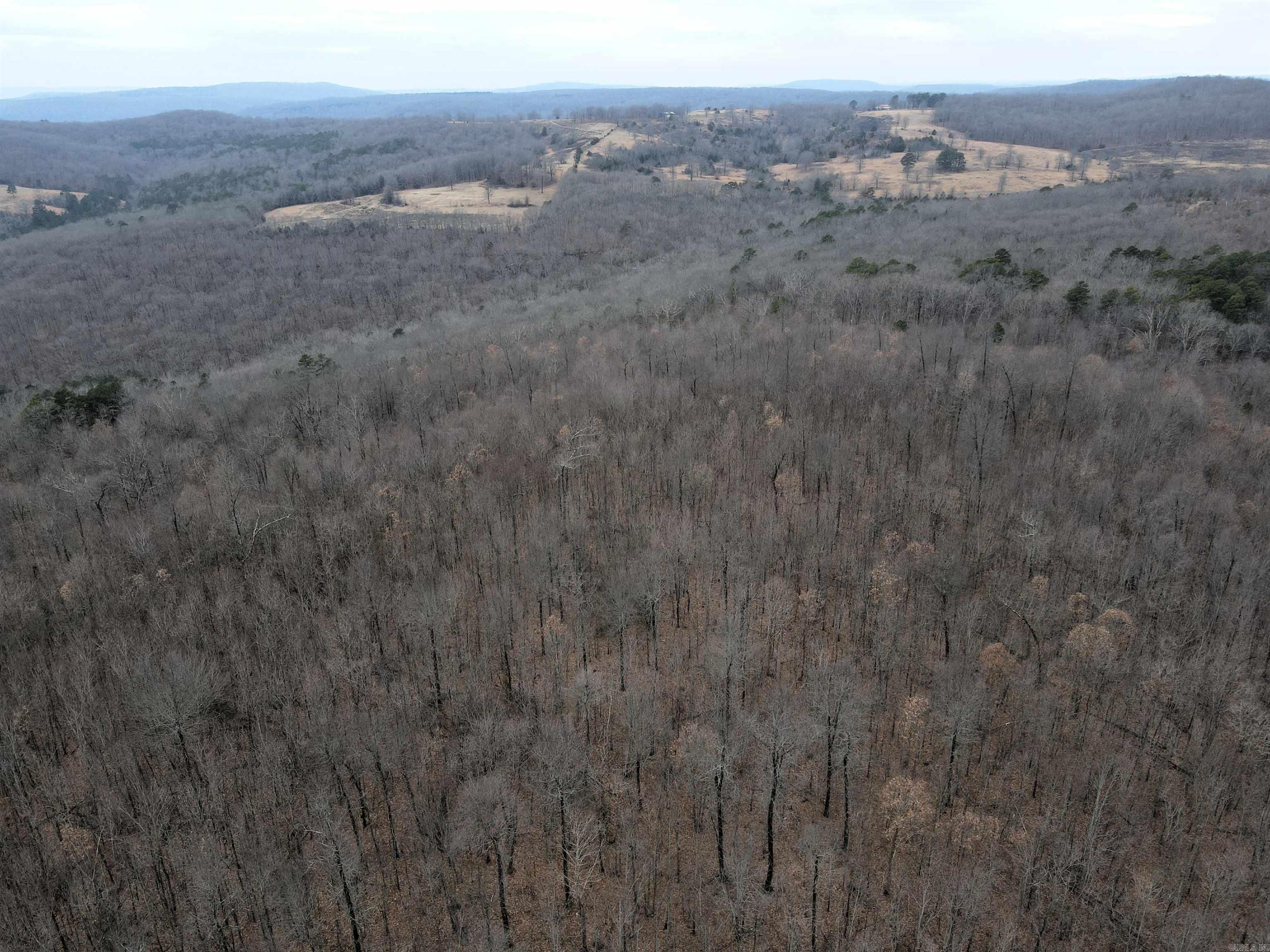 000 Jack Vaughn  Clinton, AR