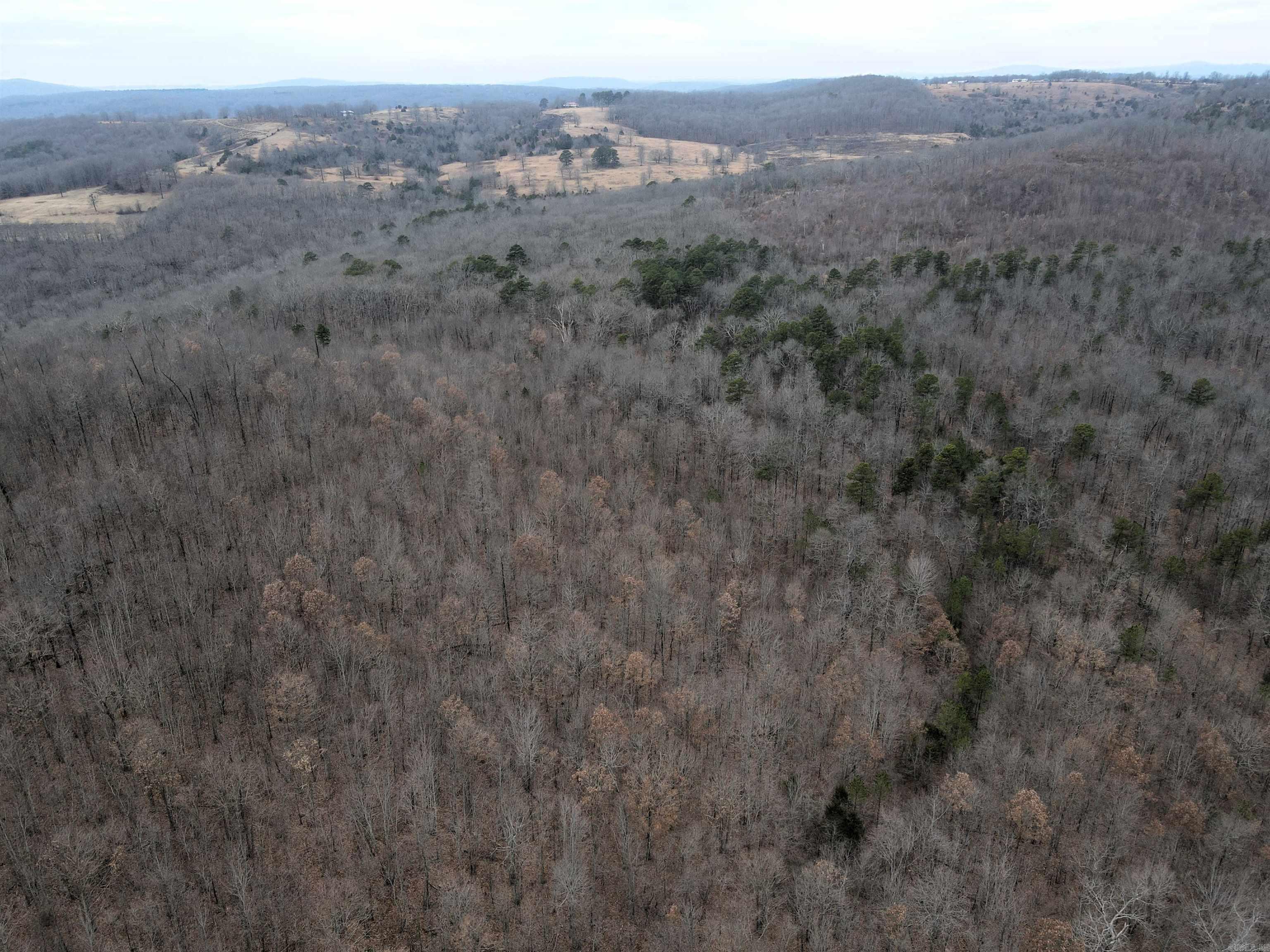 000 Jack Vaughn  Clinton, AR