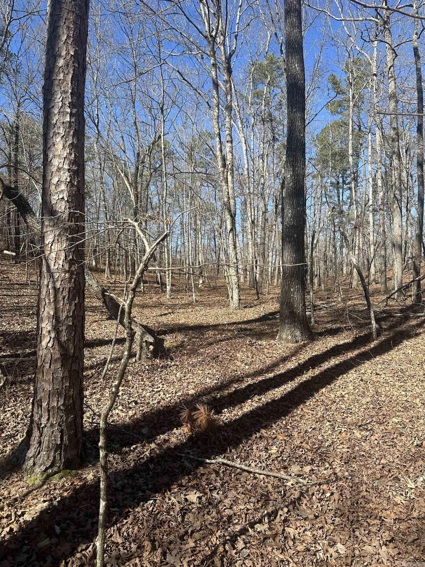 00G Walnut Valley Road  Hot Springs Village, AR