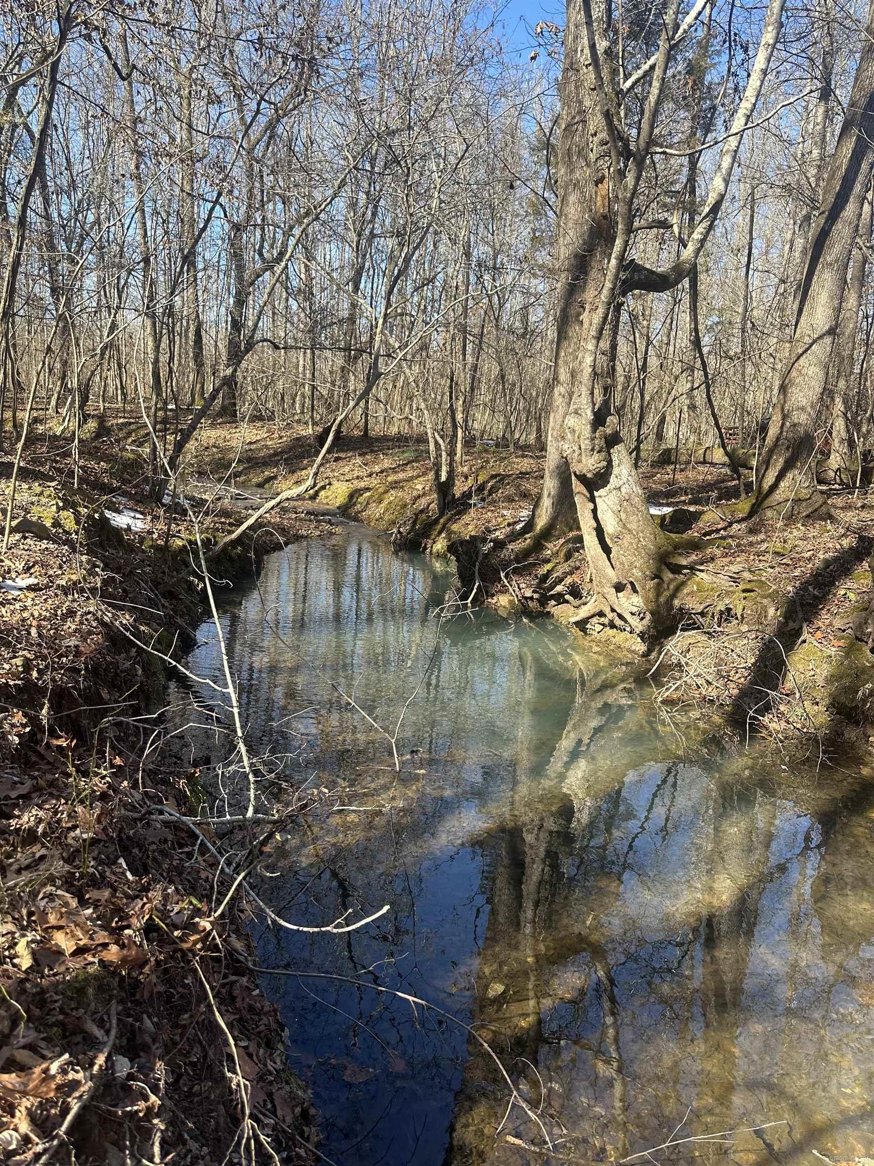 00G Walnut Valley Road  Hot Springs Village, AR