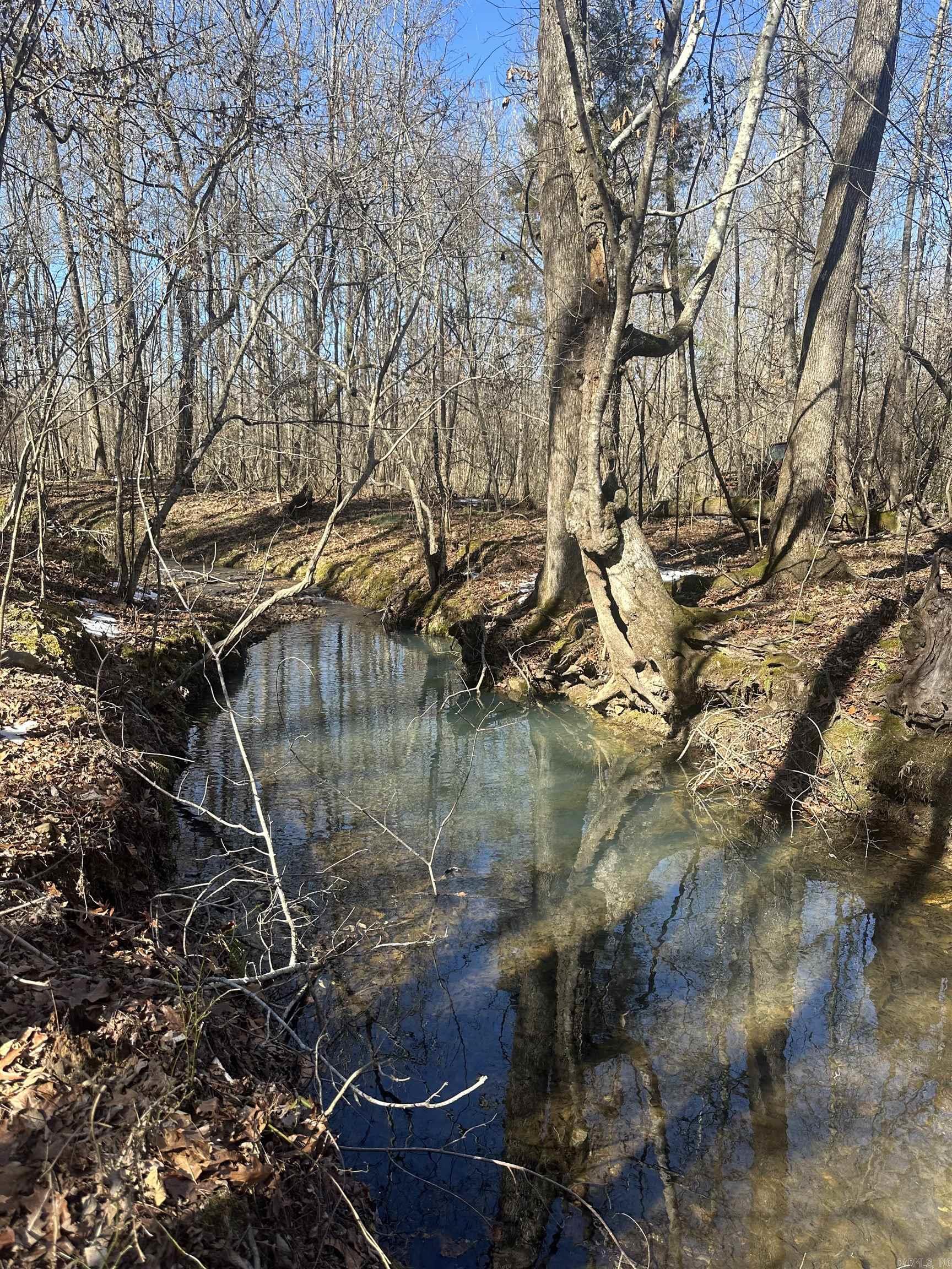 00G Walnut Valley Road  Hot Springs Village, AR