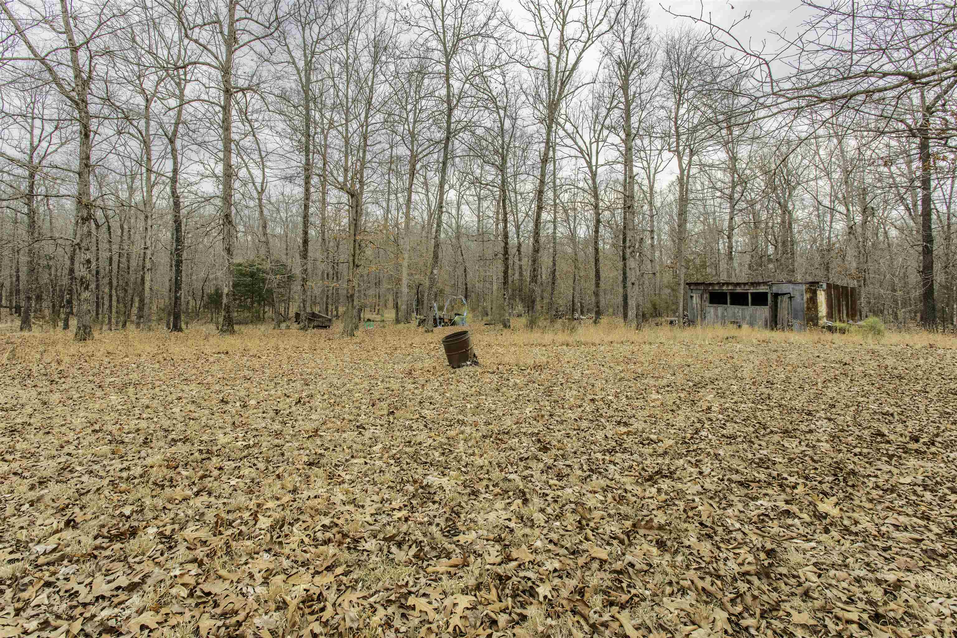 696 Browns Creek Rd  Ravenden, AR