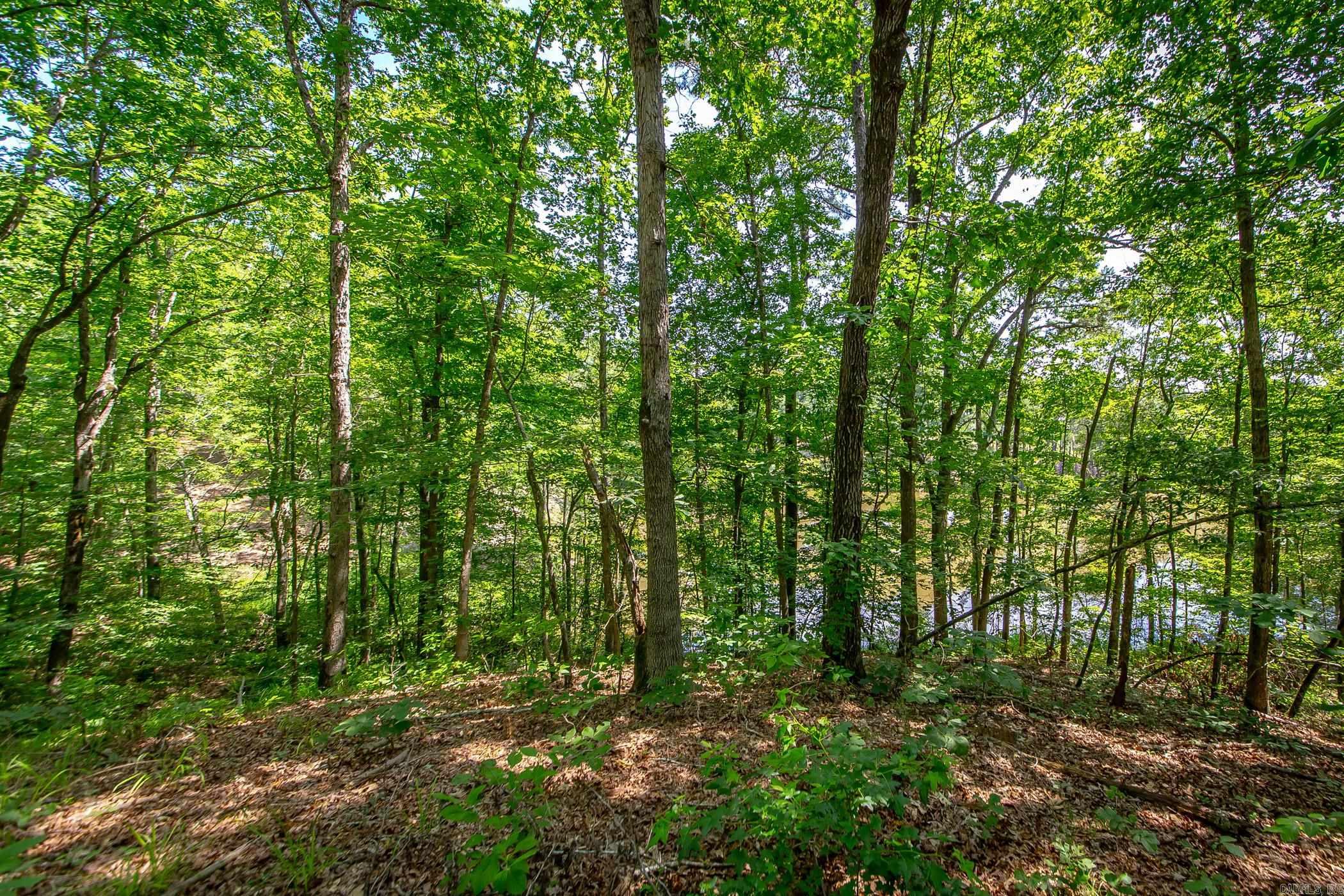 136 Private Road 1094  Fouke, AR