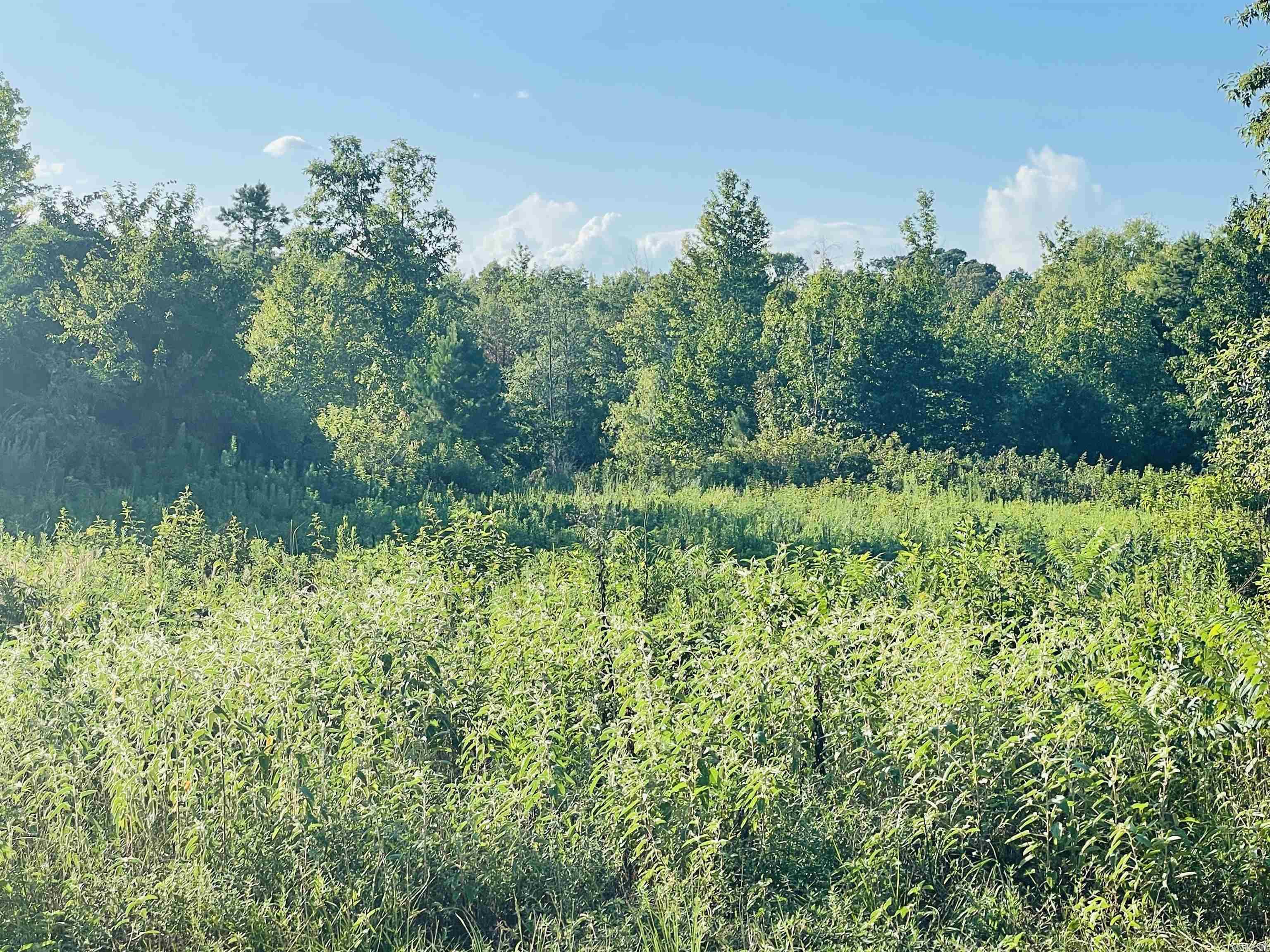 TBD Highway 71  Doddridge, AR