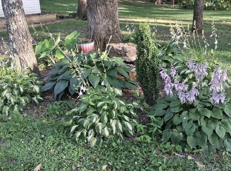 1207 Edgewater Road Horseshoe Bend, AR 72512