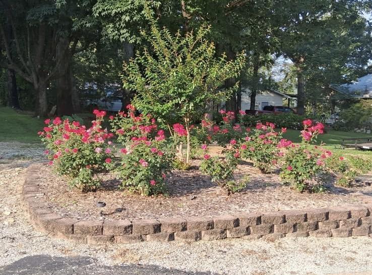 1207 Edgewater Road Horseshoe Bend, AR 72512