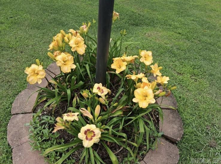 1207 Edgewater Road Horseshoe Bend, AR 72512