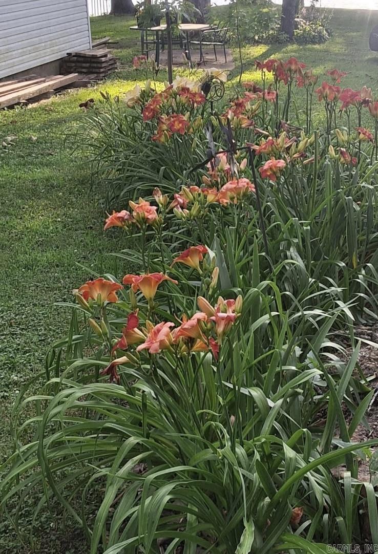 1207 Edgewater Road Horseshoe Bend, AR 72512