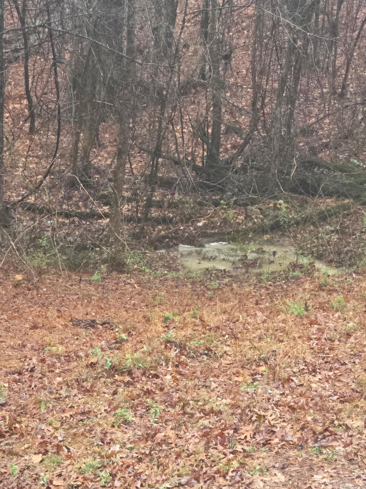 701 Peach Drive Bismarck, AR 71929