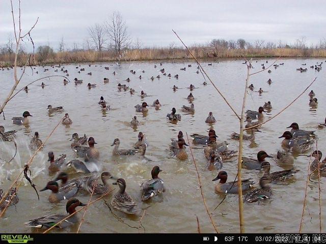 18260 145  McCrory, AR