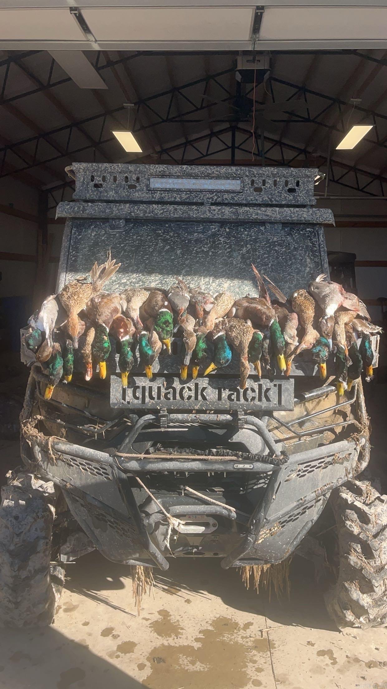 18260 145  McCrory, AR