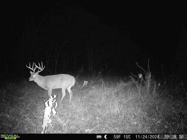 18260 145  McCrory, AR