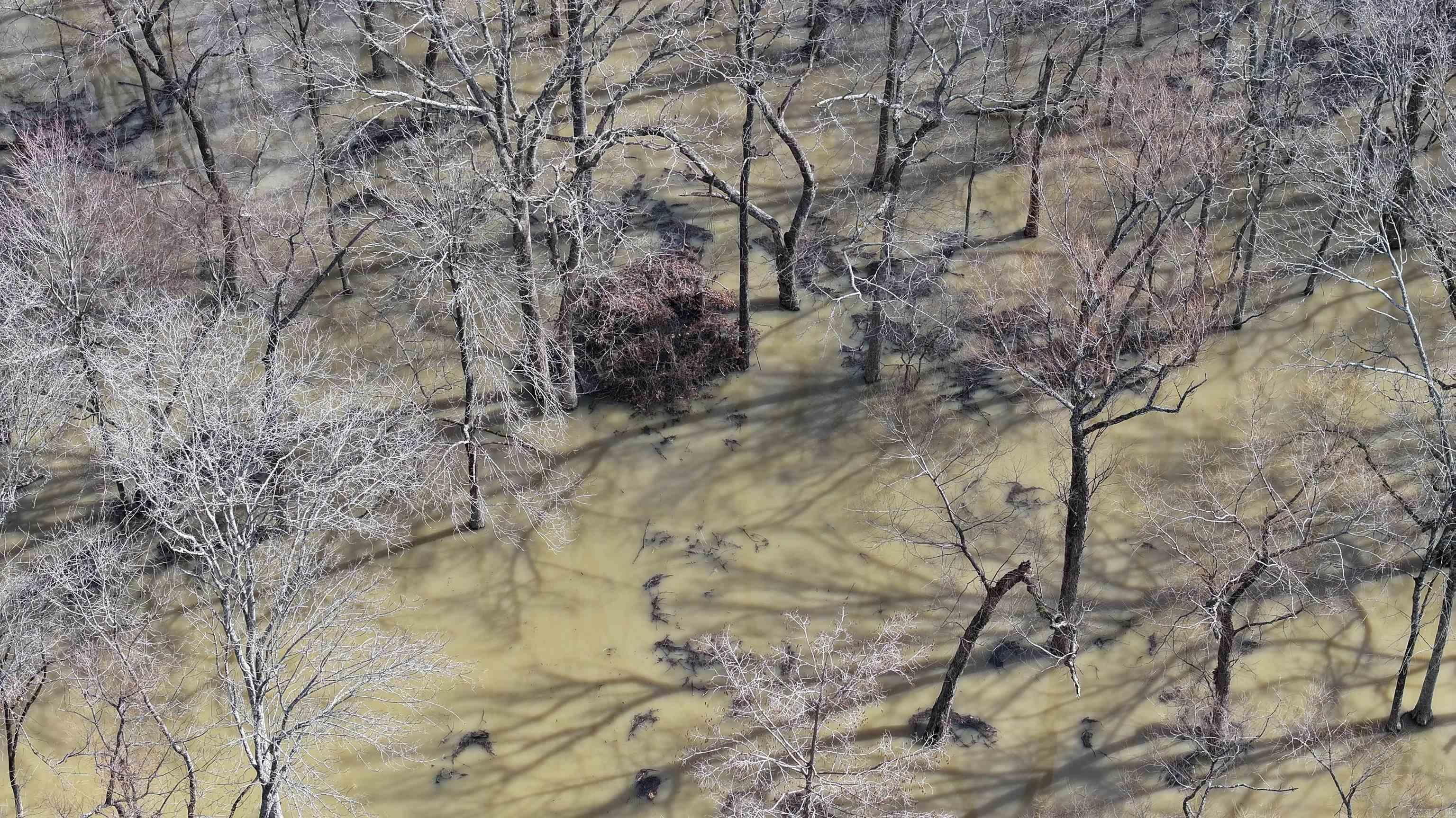 18260 145  McCrory, AR