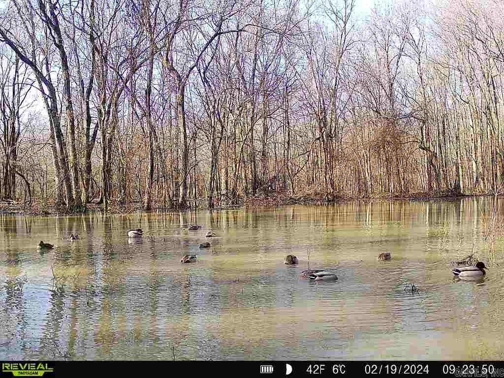 18260 145  McCrory, AR