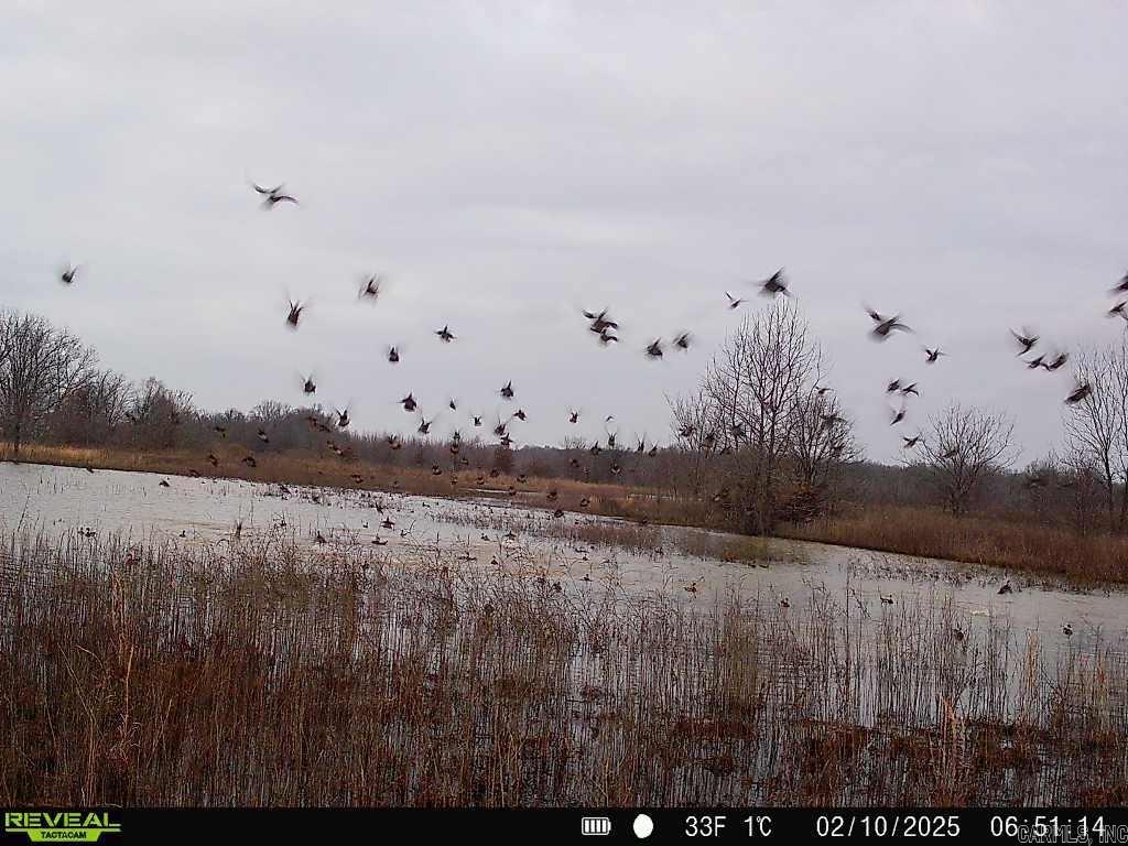 18260 145  McCrory, AR