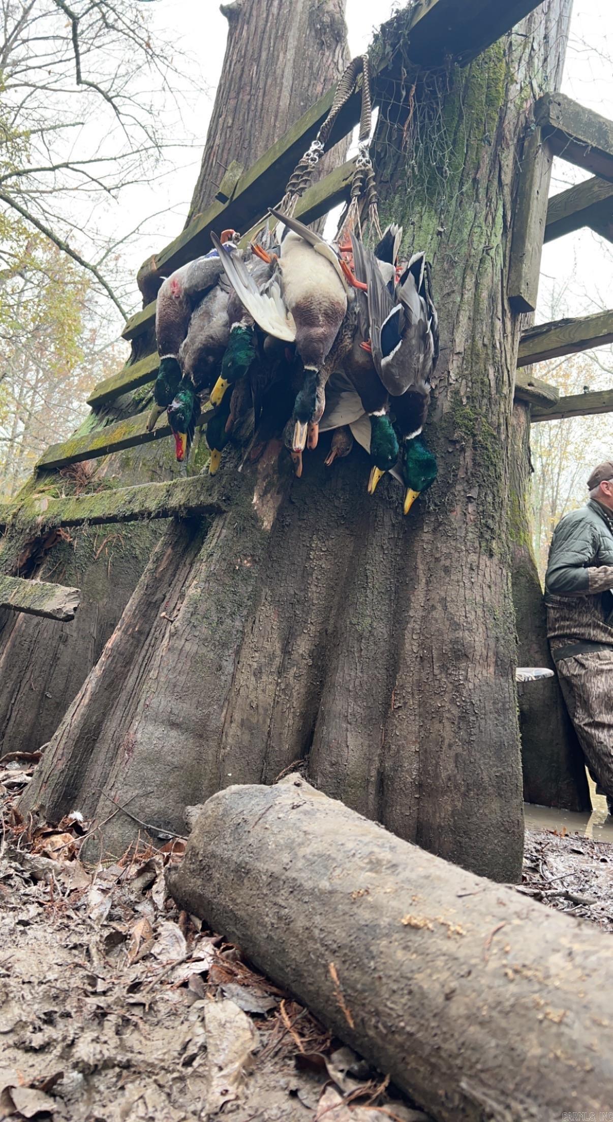 18260 145  McCrory, AR