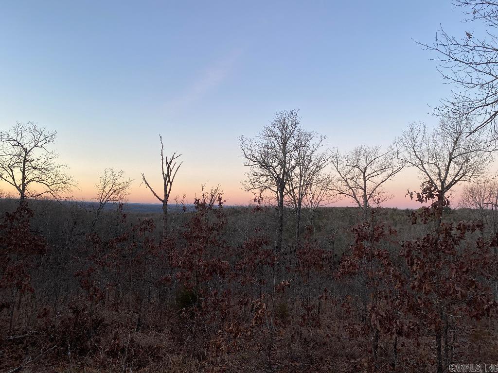 13523 Hwy 62 East  Henderson, AR