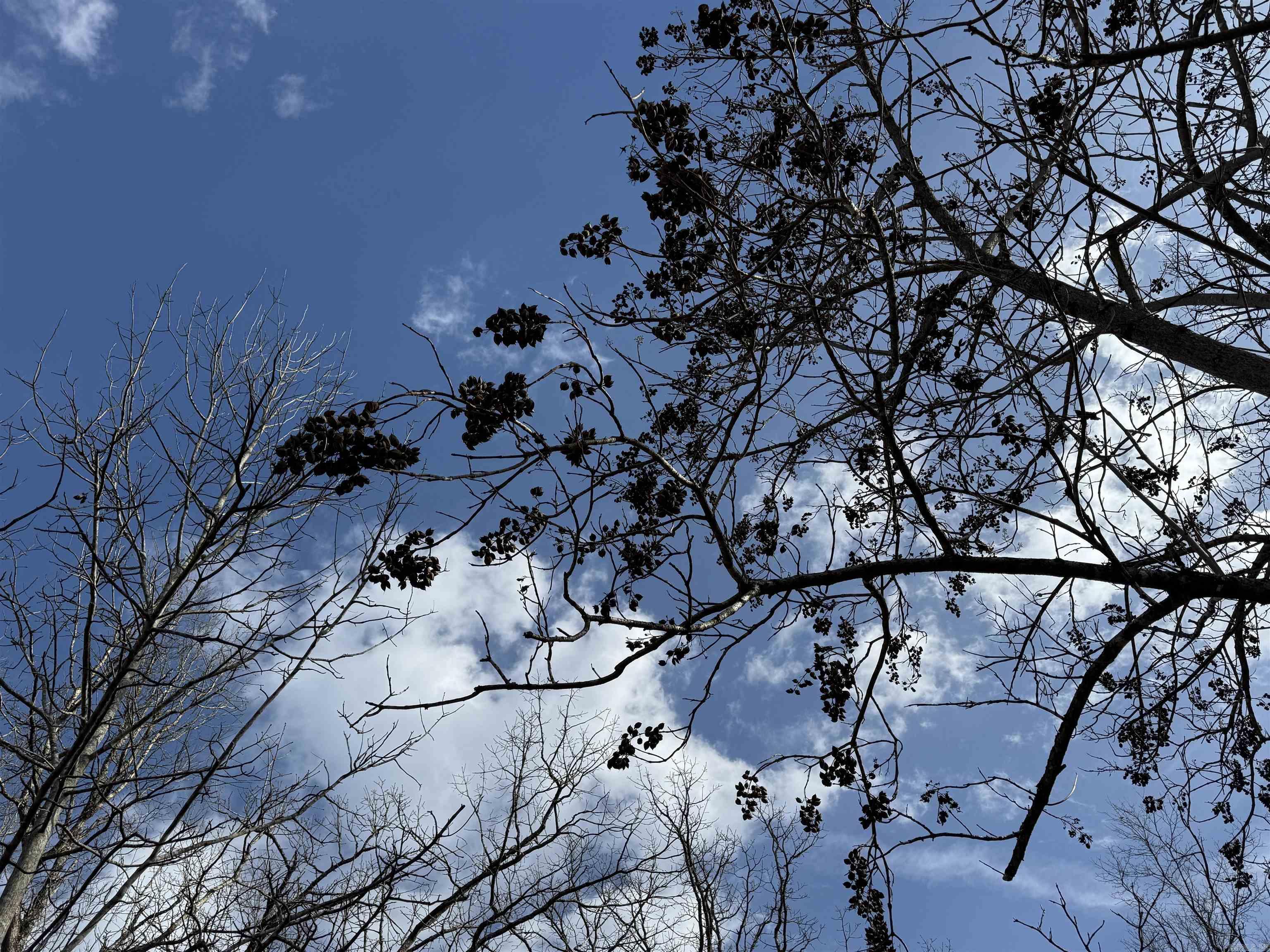  Heber Springs Area Heber Springs Area Heber Springs, AR